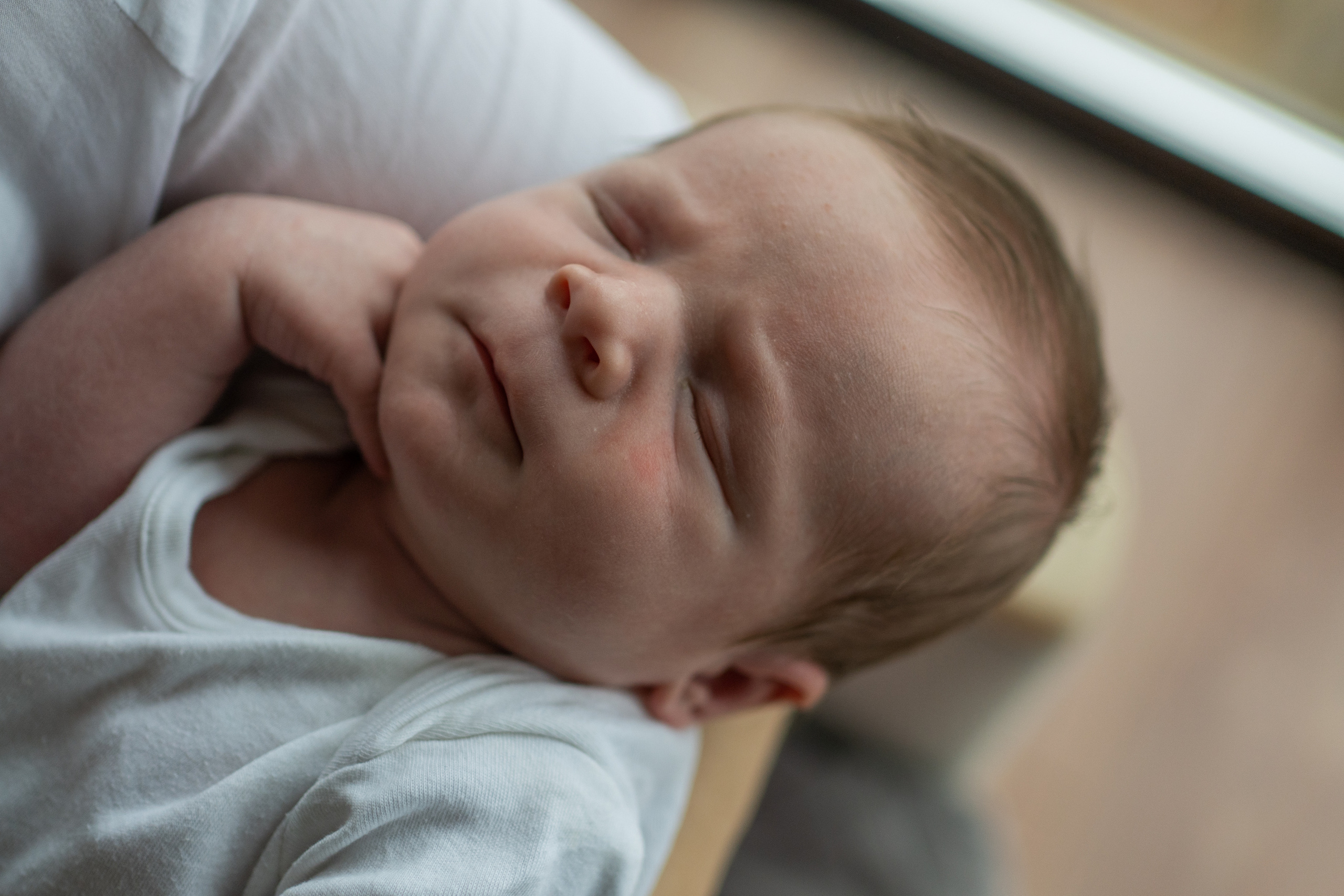 Лёва. Семейный фотограф Ефремова Виктория