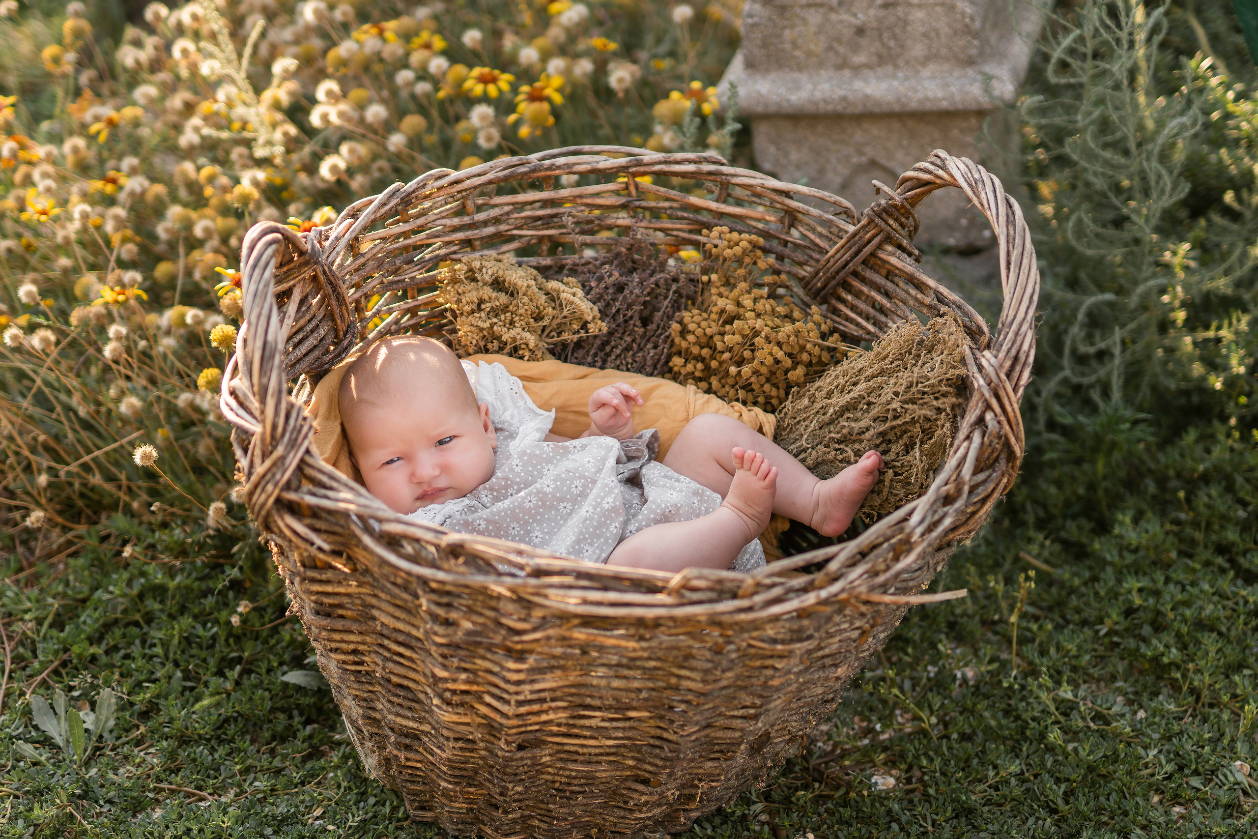 Должанская, август 2022. Семейный фотограф Ефремова Виктория