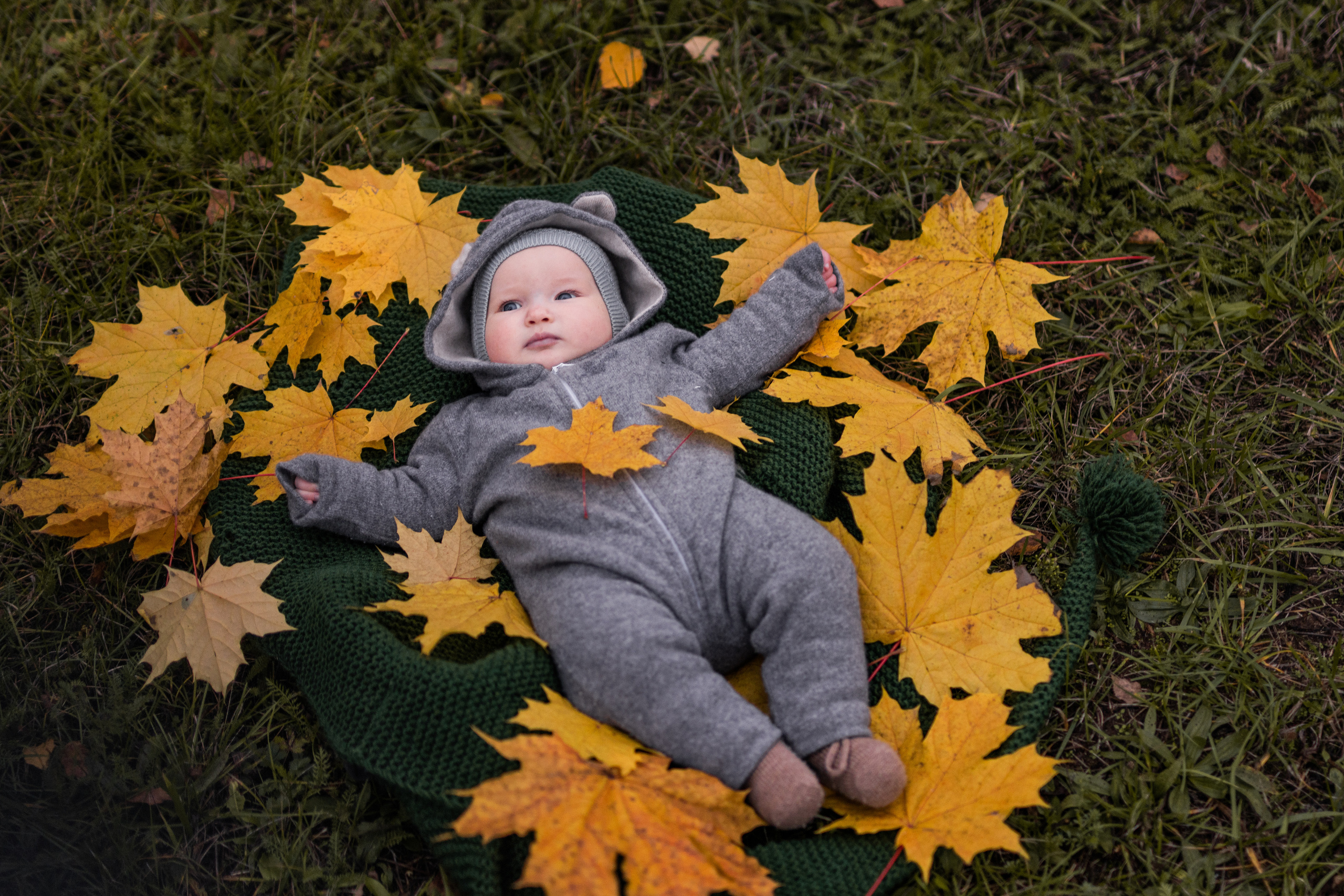 Гномы. Семейный фотограф Ефремова Виктория