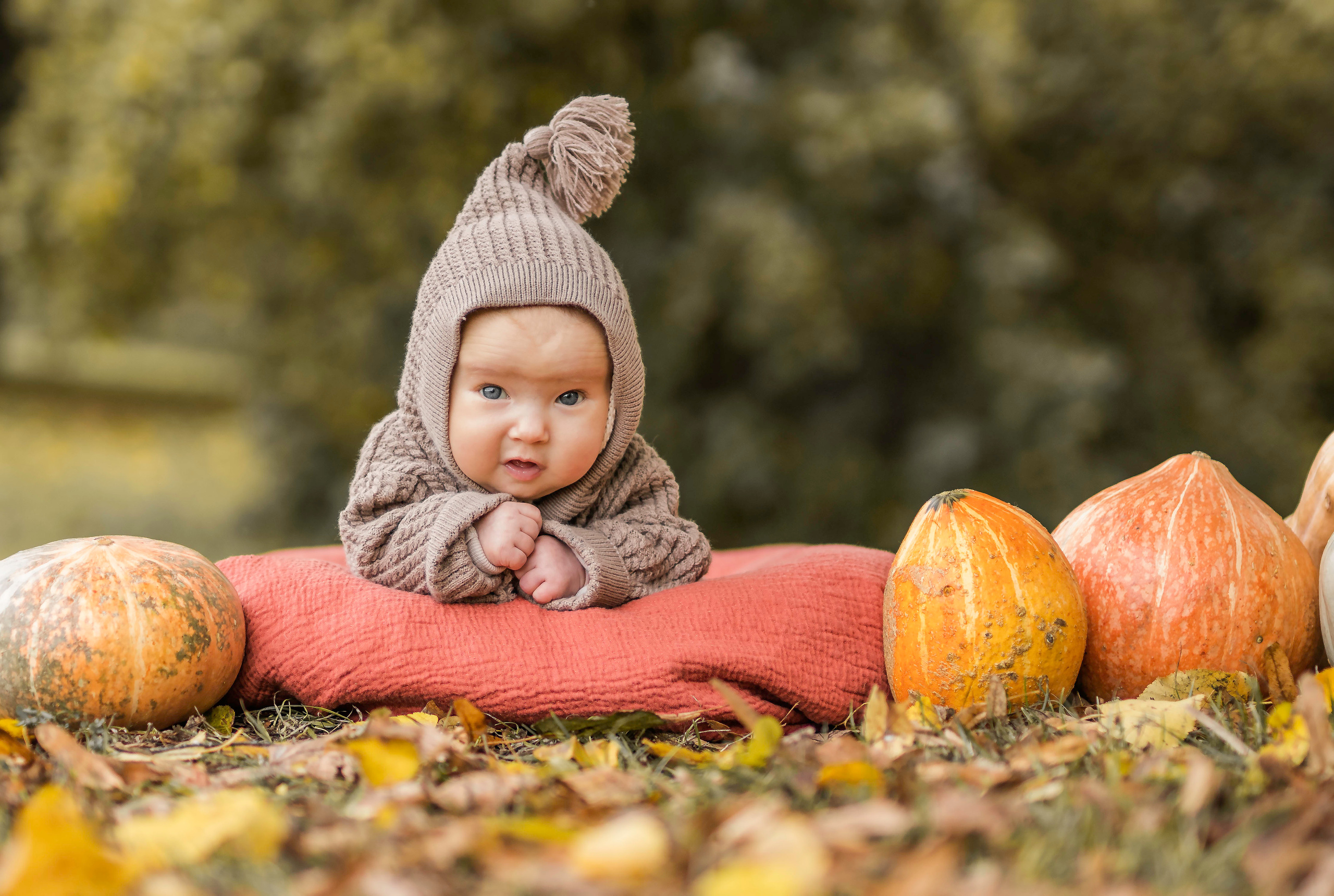 22 сентября 2022. Семейный фотограф Ефремова Виктория