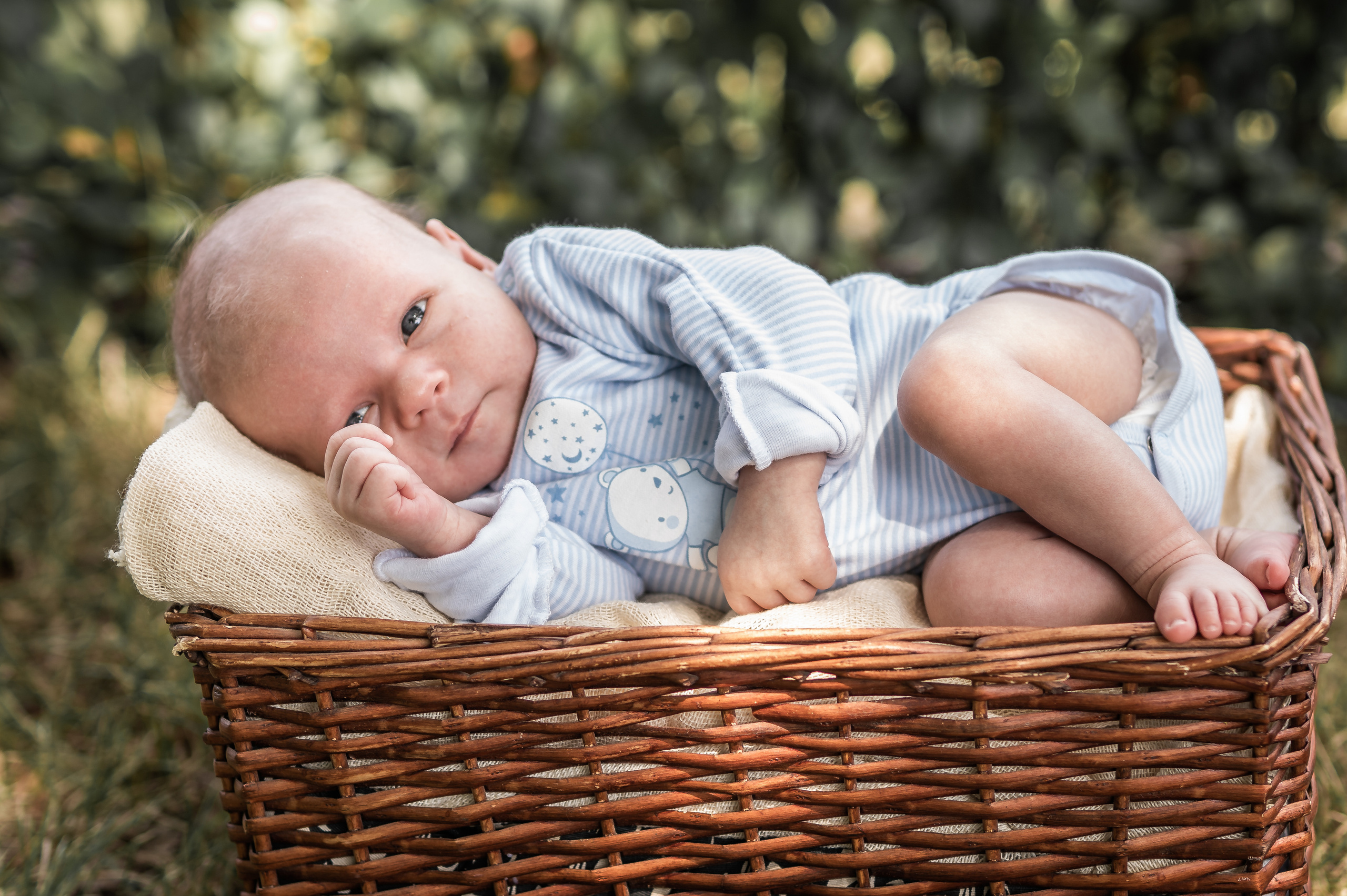 Фотосессии Виктория Ефремова. Семейный фотограф Ефремова Виктория