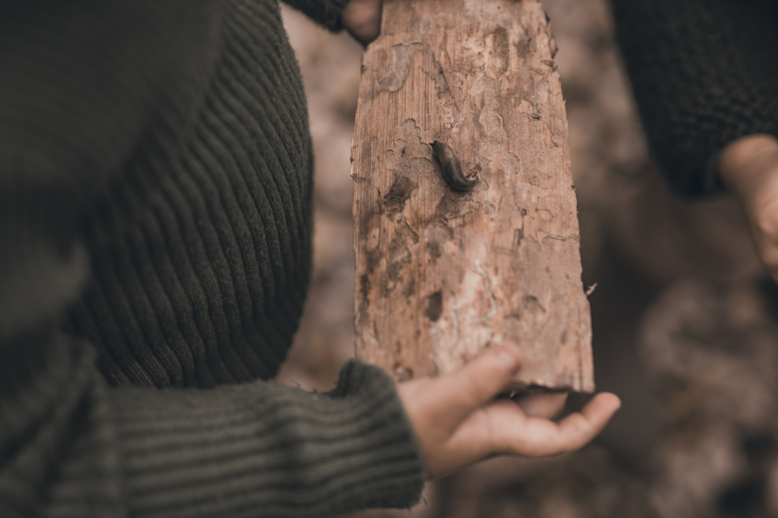 2 октября. Семейный фотограф Ефремова Виктория