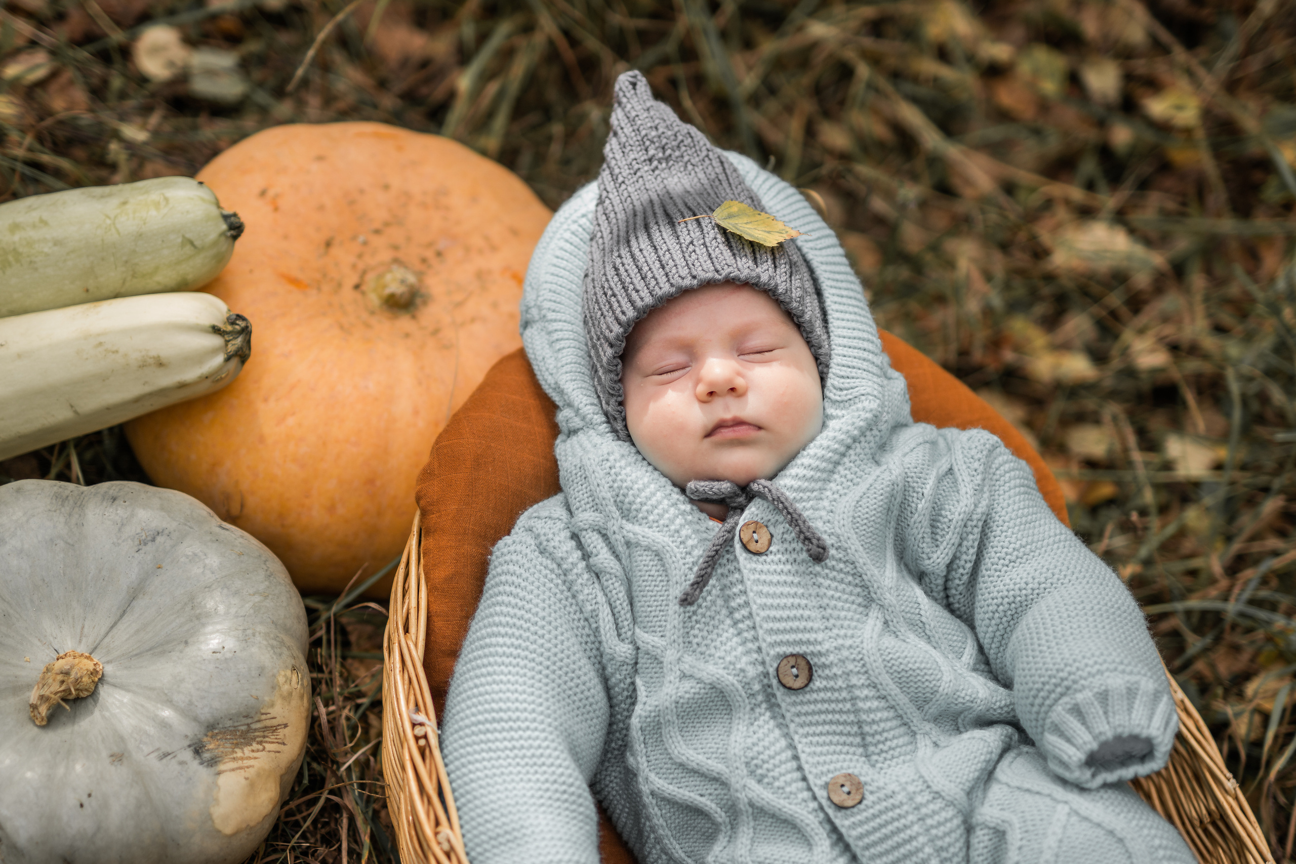 Овощная история. Семейный фотограф Ефремова Виктория