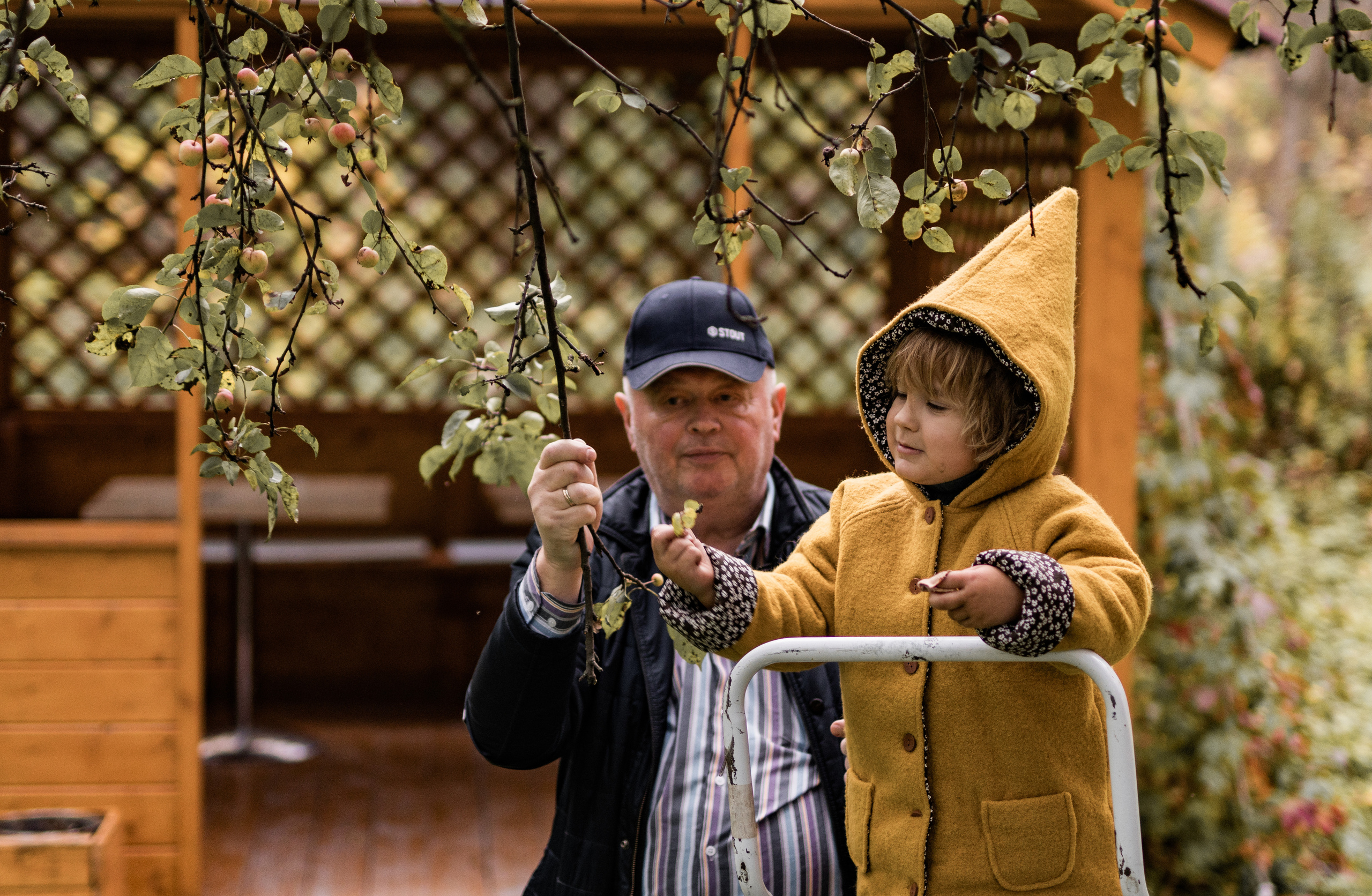 Гномы. Семейный фотограф Ефремова Виктория
