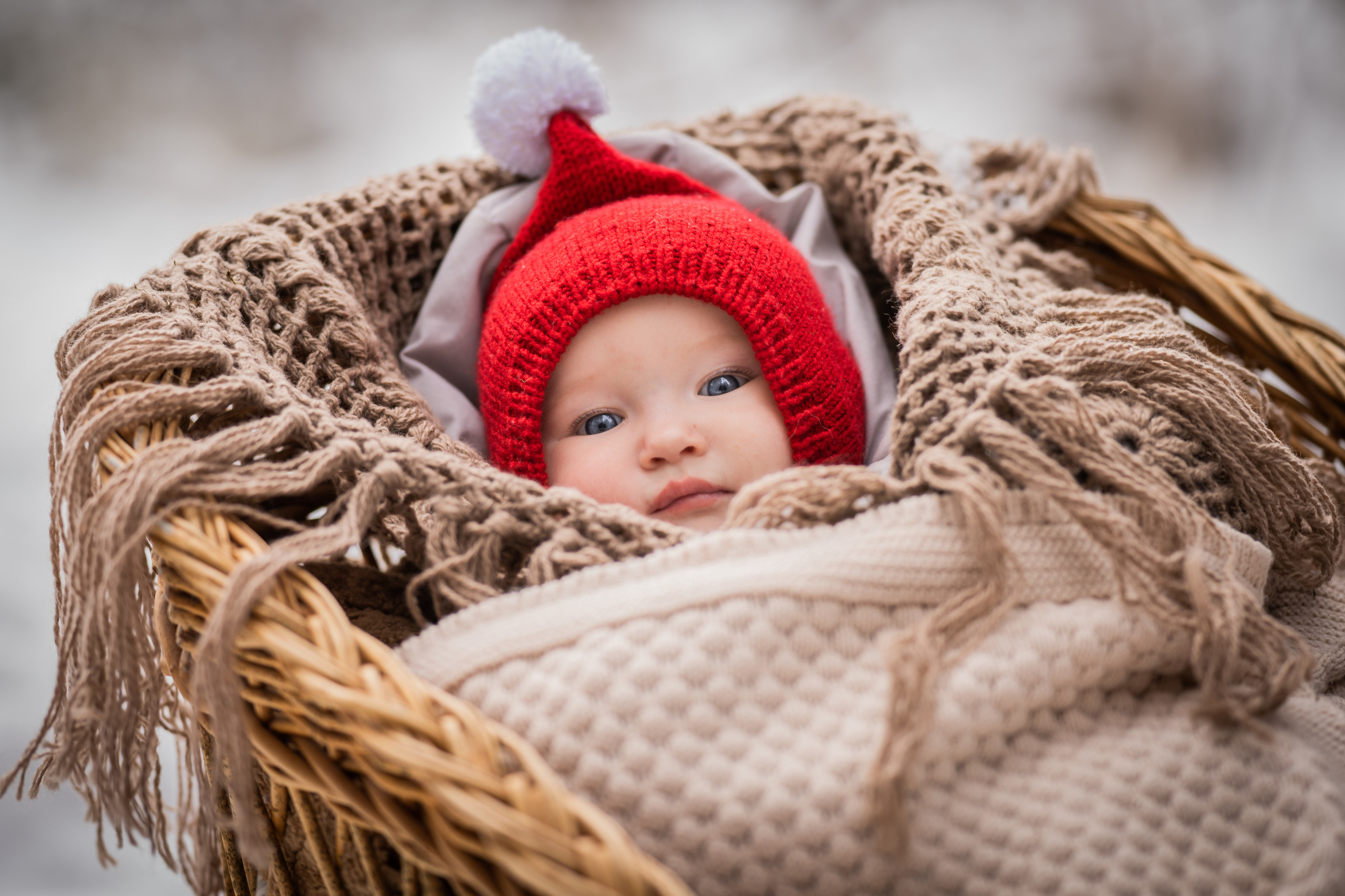 Снежная прогулка Савелия и Марфы. Семейный фотограф Ефремова Виктория
