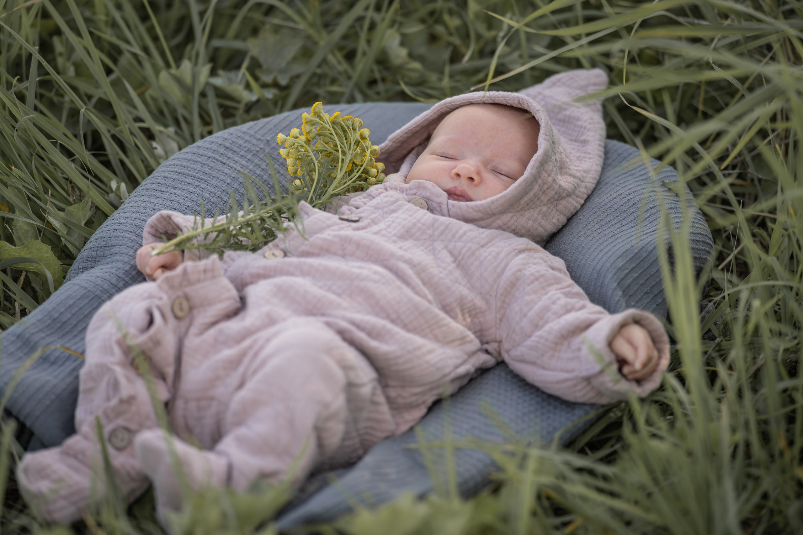 Марфа 6 недель. Семейный фотограф Ефремова Виктория