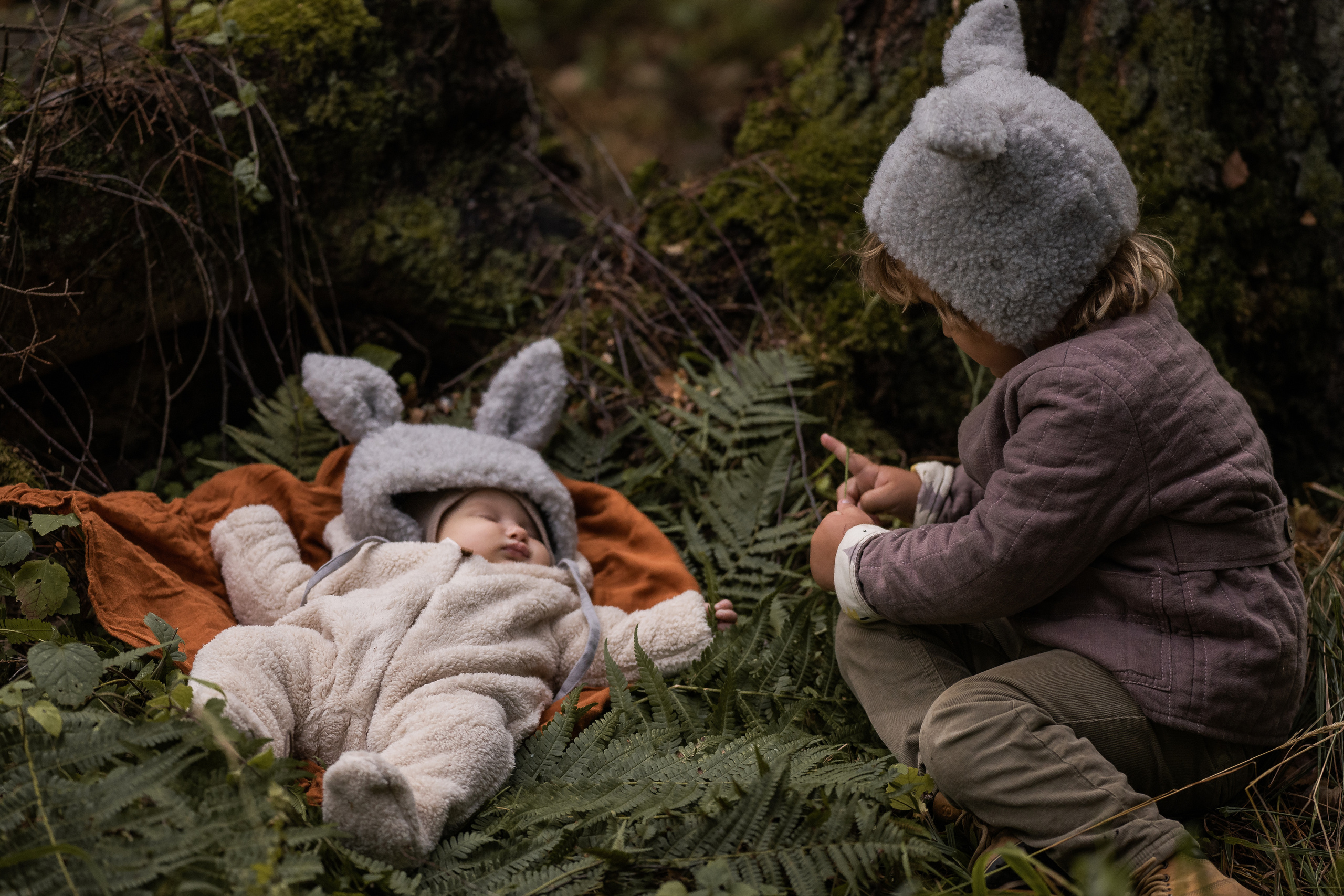 Лесные зайцы. Семейный фотограф Ефремова Виктория