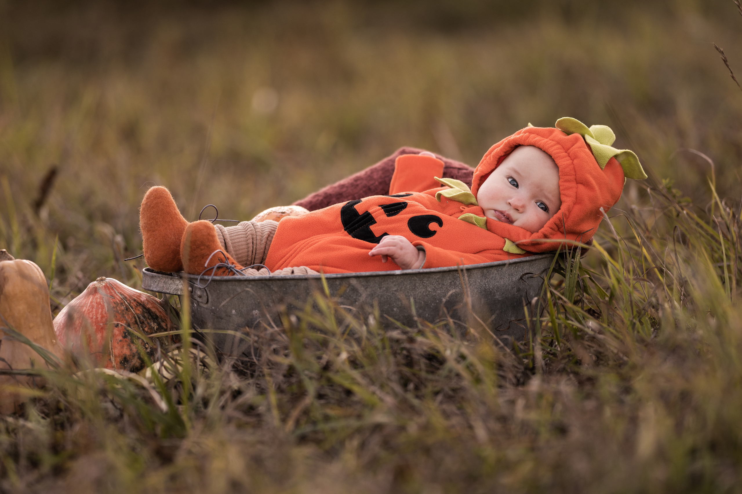 Halloween 2022. Семейный фотограф Ефремова Виктория