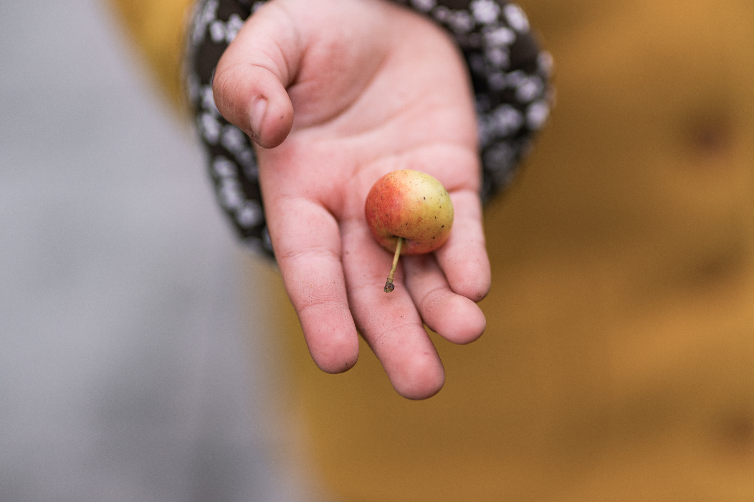 Гномы. Семейный фотограф Ефремова Виктория