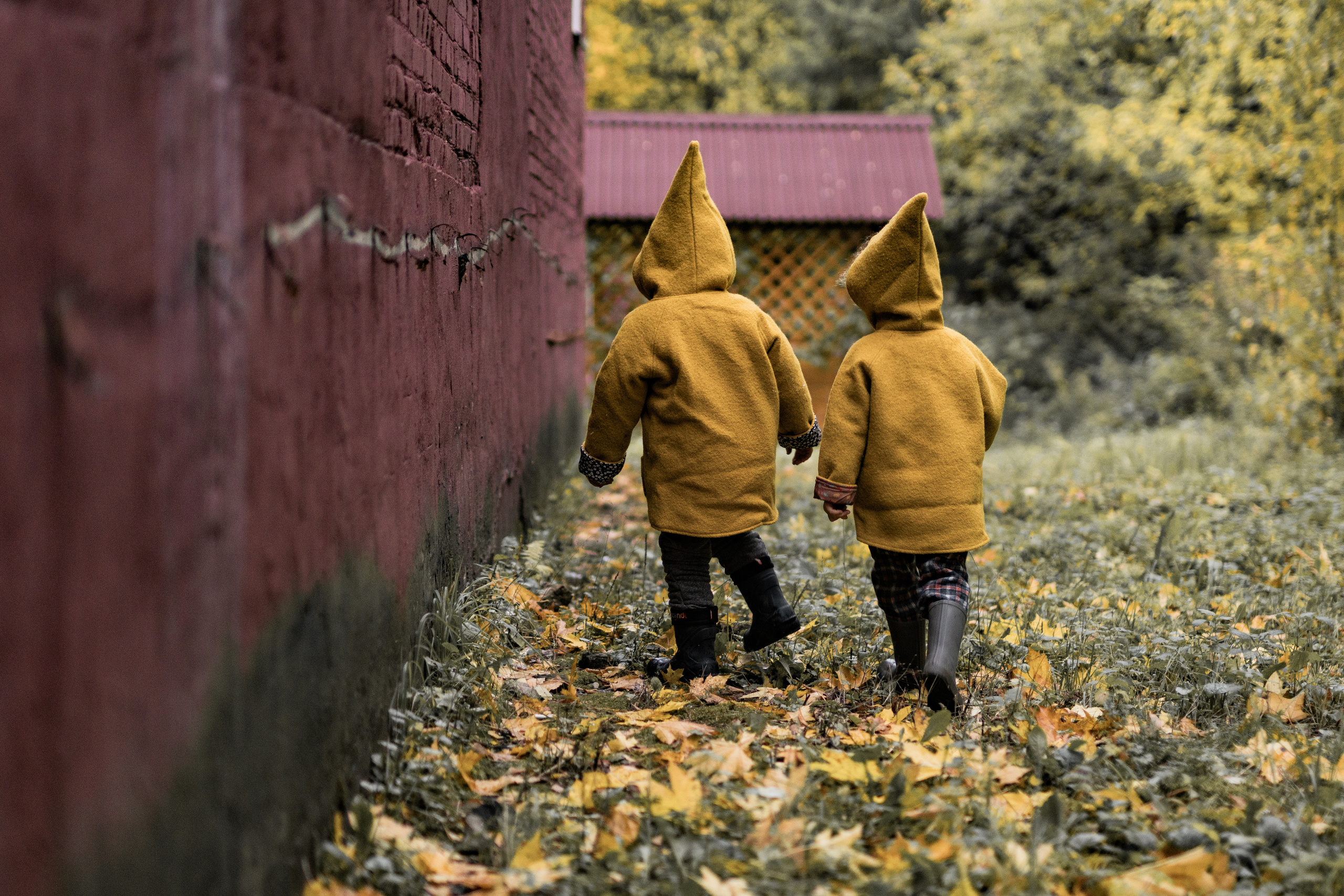 Гномы. Семейный фотограф Ефремова Виктория