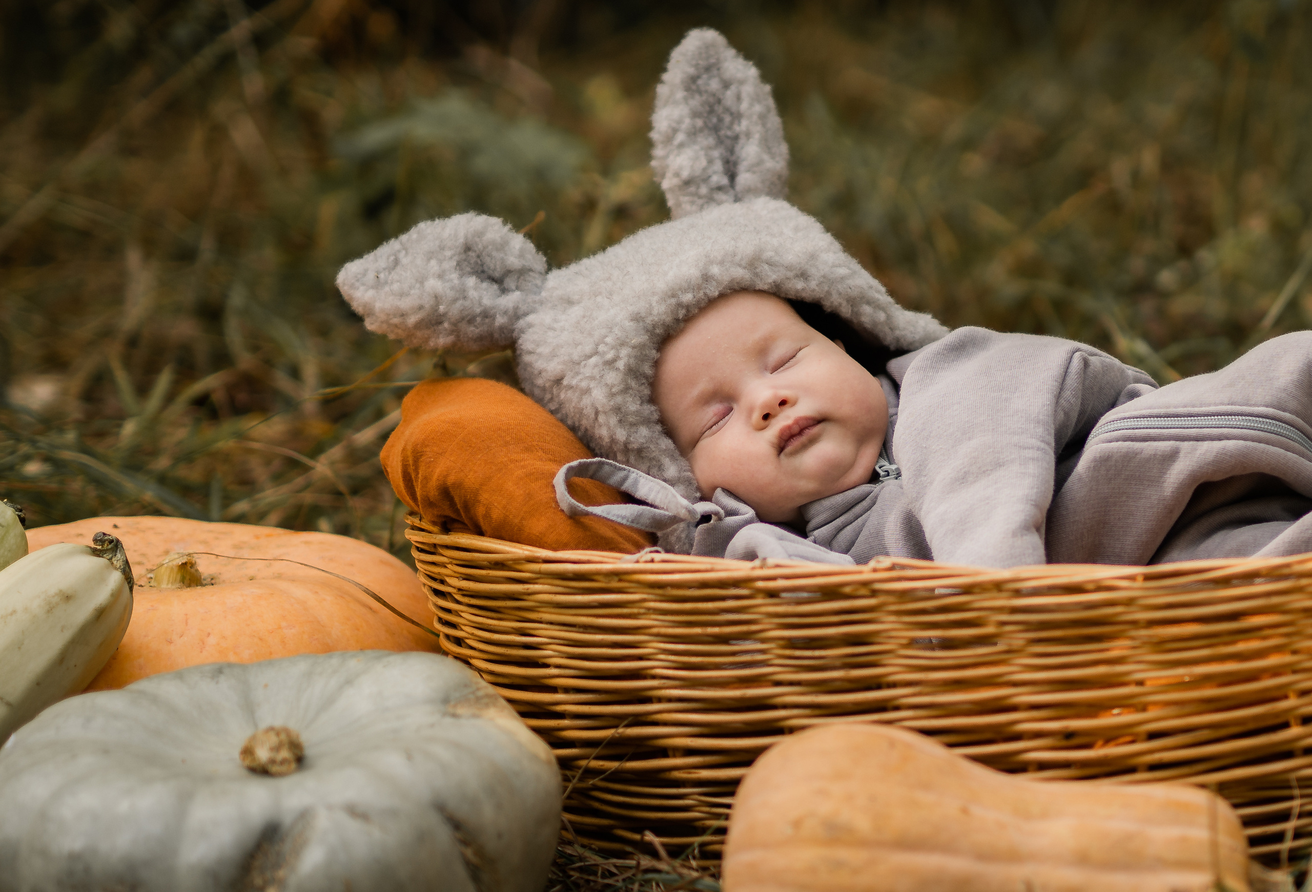 Овощная история. Семейный фотограф Ефремова Виктория