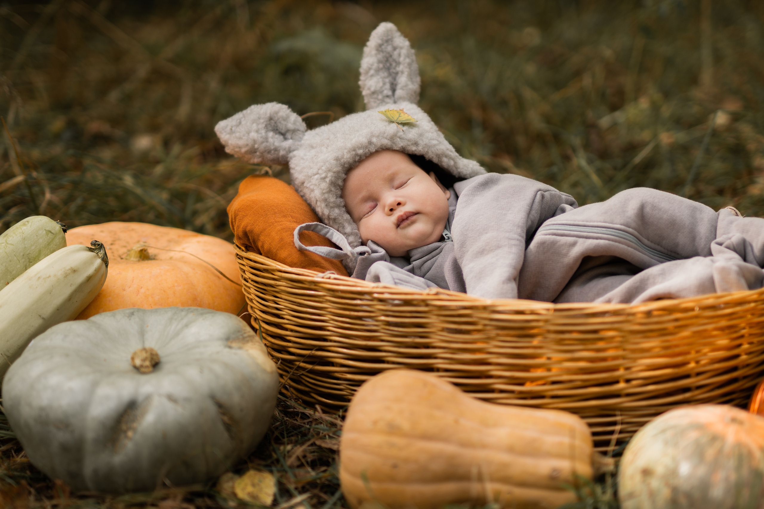 Овощная история. Семейный фотограф Ефремова Виктория