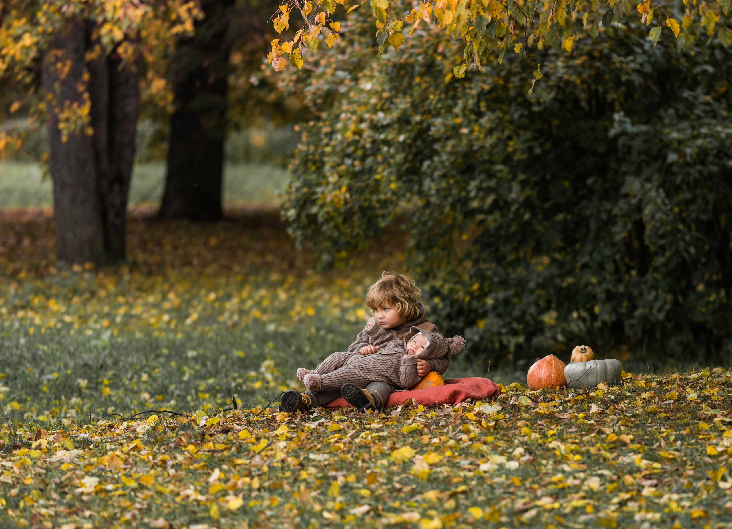 22 сентября 2022. Семейный фотограф Ефремова Виктория