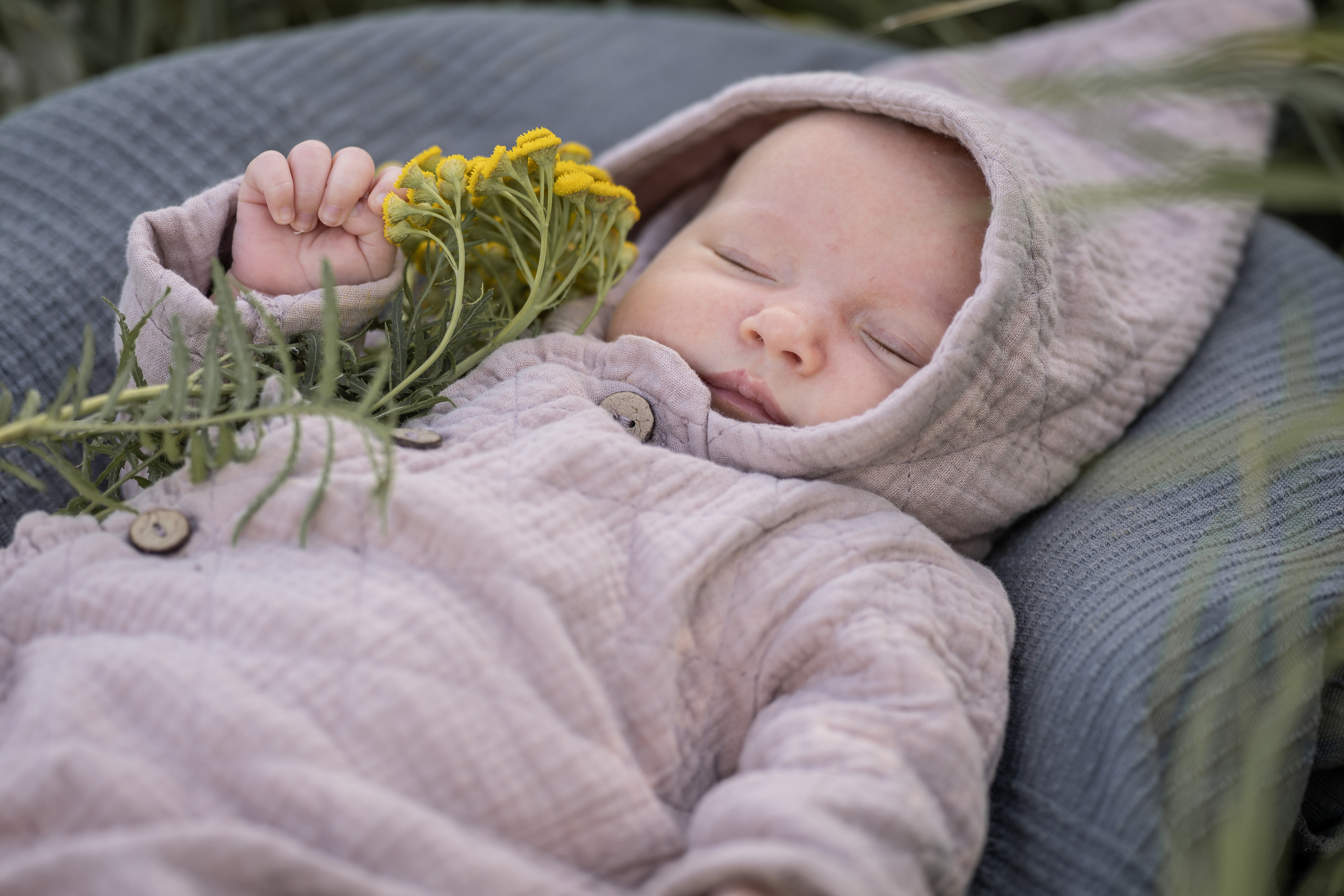 Марфа 6 недель. Семейный фотограф Ефремова Виктория