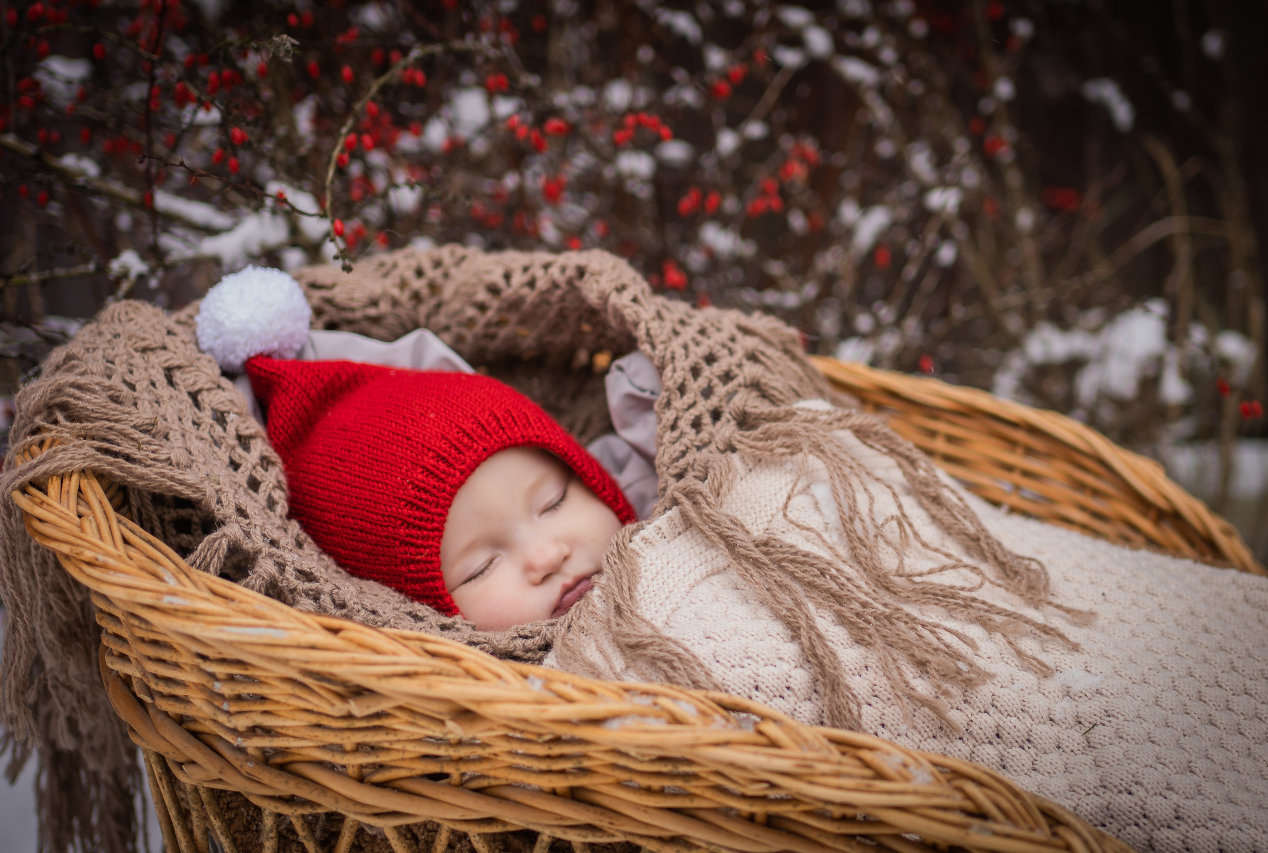 Снежная прогулка Савелия и Марфы. Семейный фотограф Ефремова Виктория