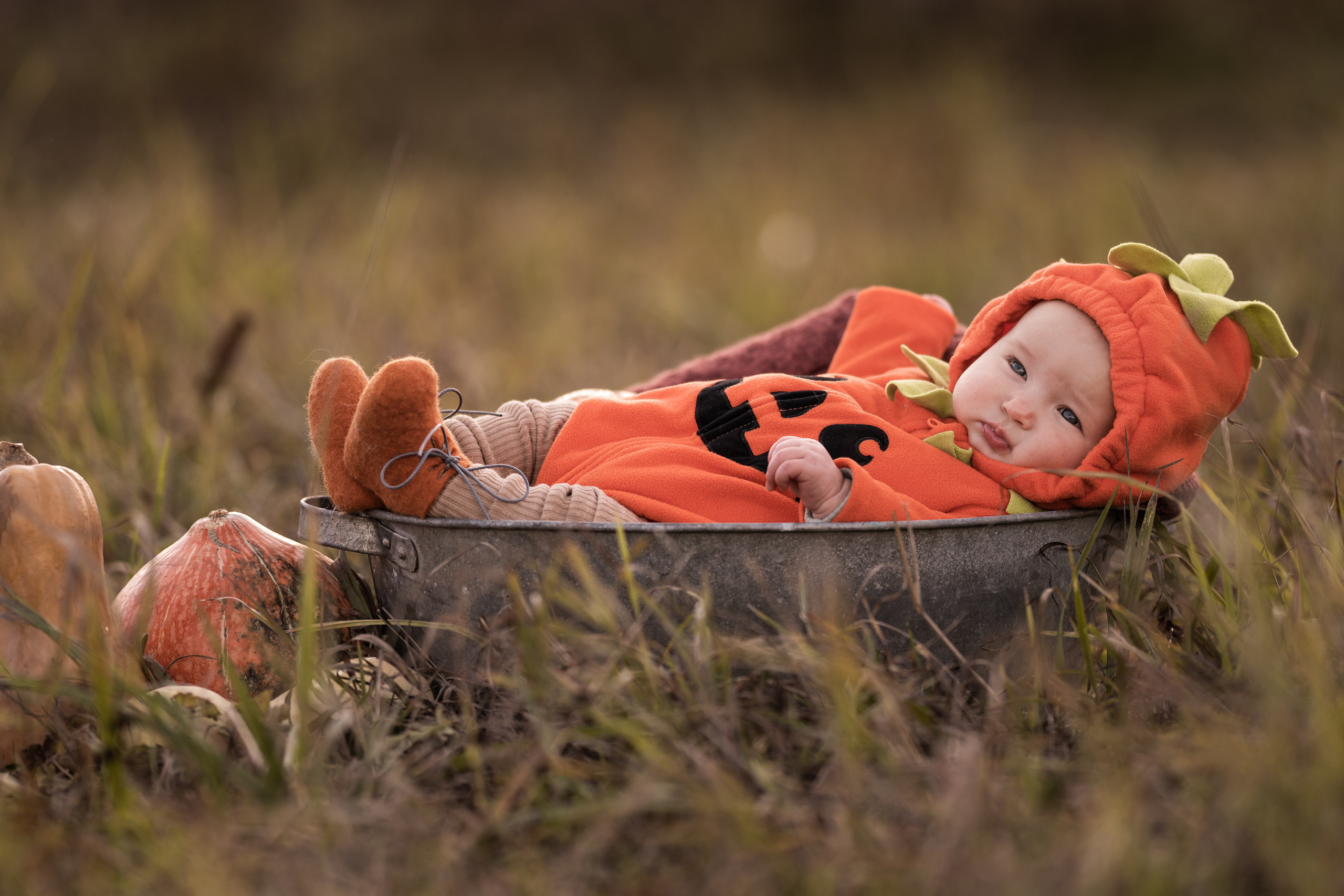 Halloween 2022. Семейный фотограф Ефремова Виктория