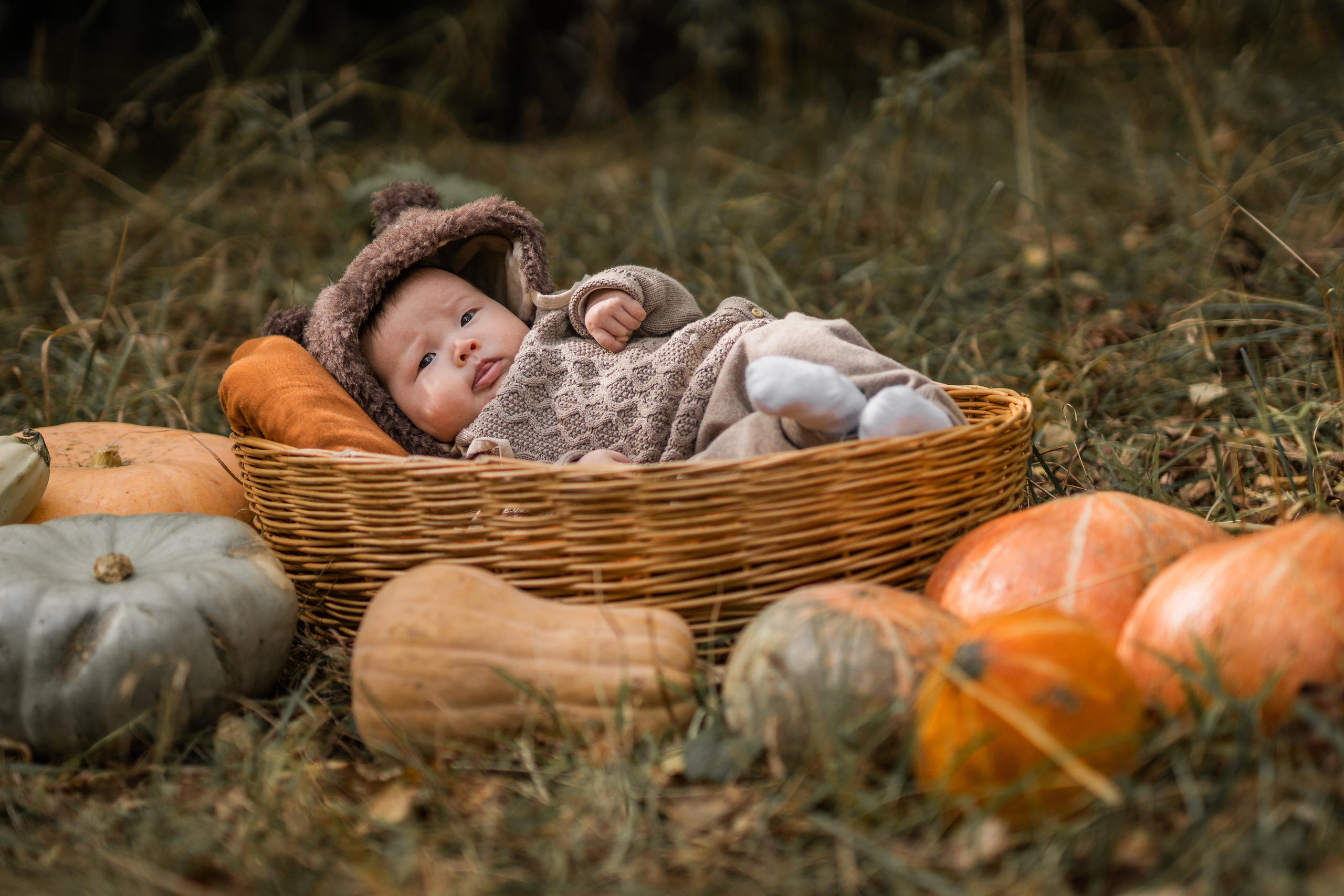 Овощная история. Семейный фотограф Ефремова Виктория