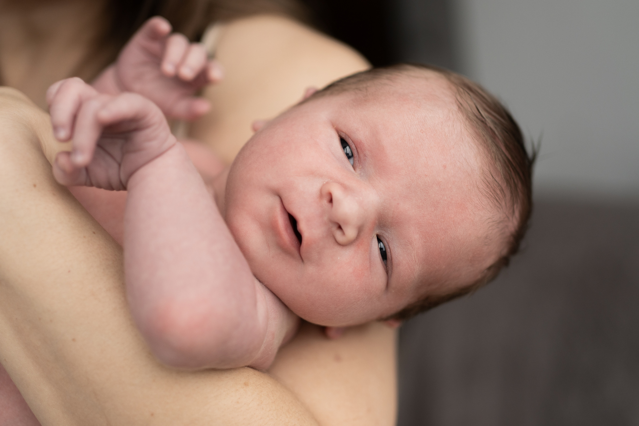 Лёва. Семейный фотограф Ефремова Виктория