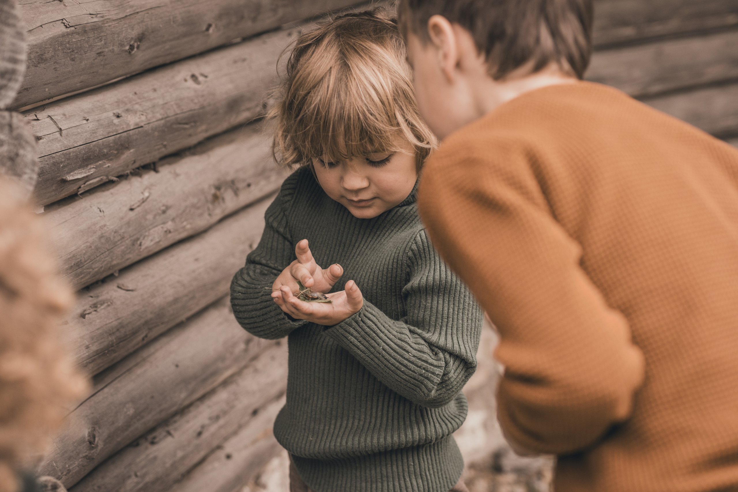 2 октября. Семейный фотограф Ефремова Виктория