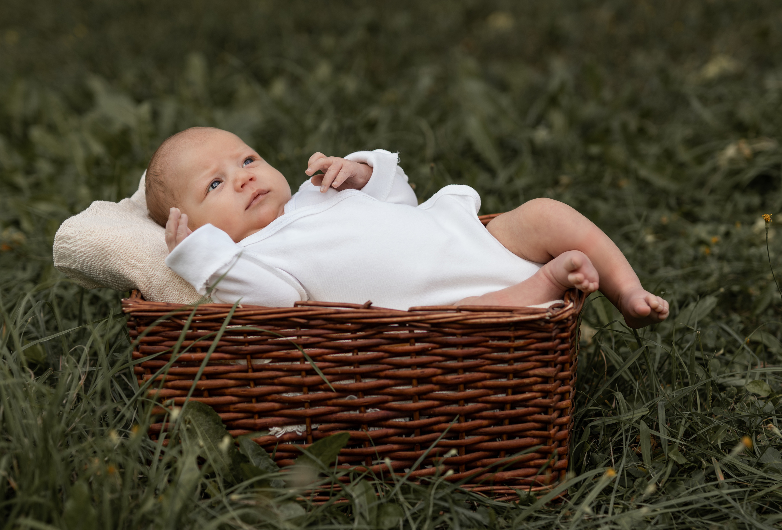 Рита, Егор и Лёва). Семейный фотограф Ефремова Виктория
