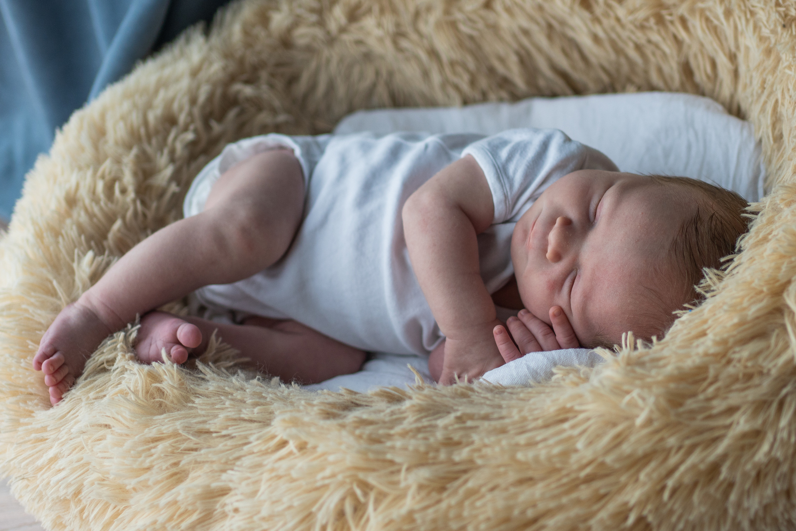 Лёва. Семейный фотограф Ефремова Виктория