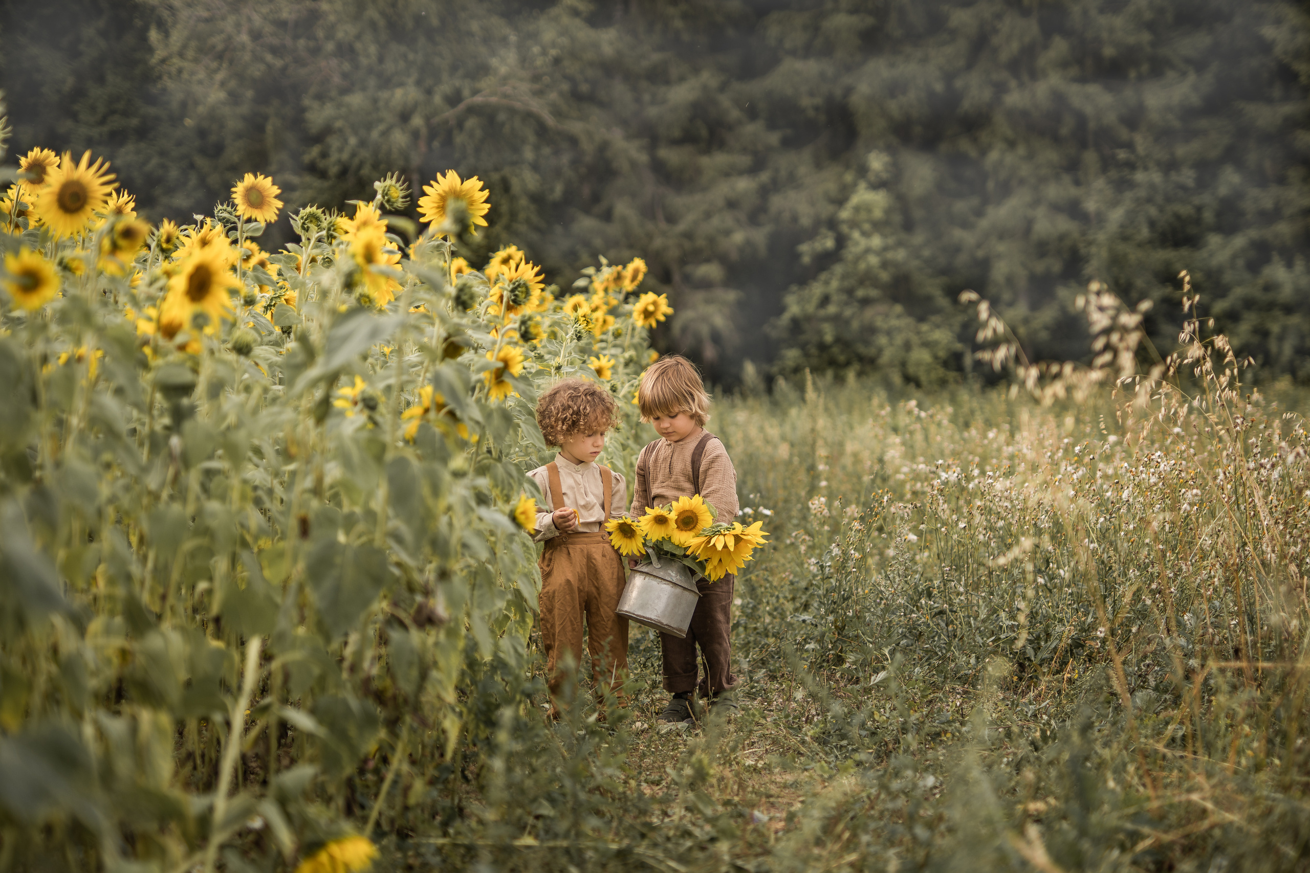 Дети в поле. Семейный фотограф Ефремова Виктория