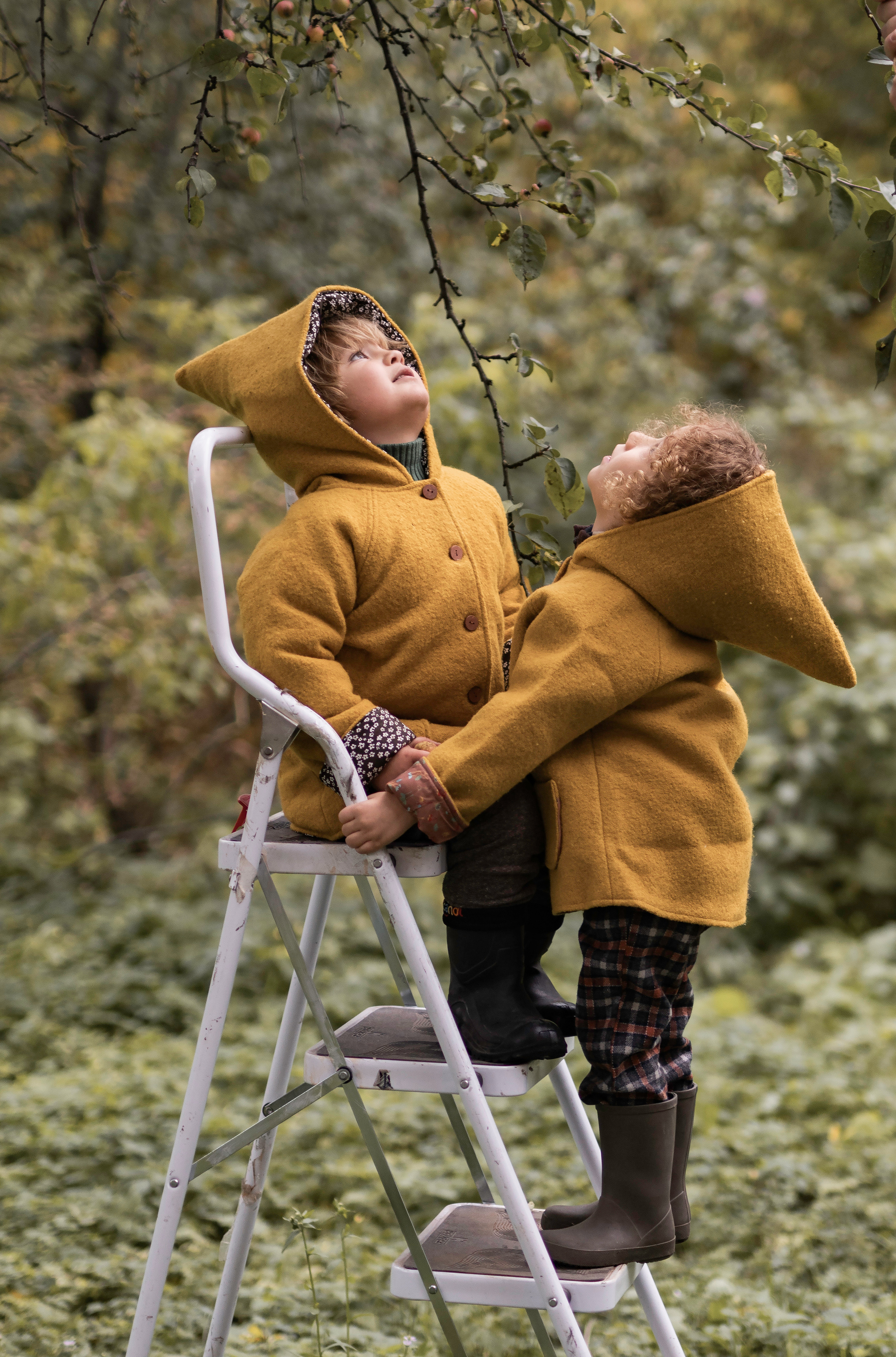 Гномы. Семейный фотограф Ефремова Виктория