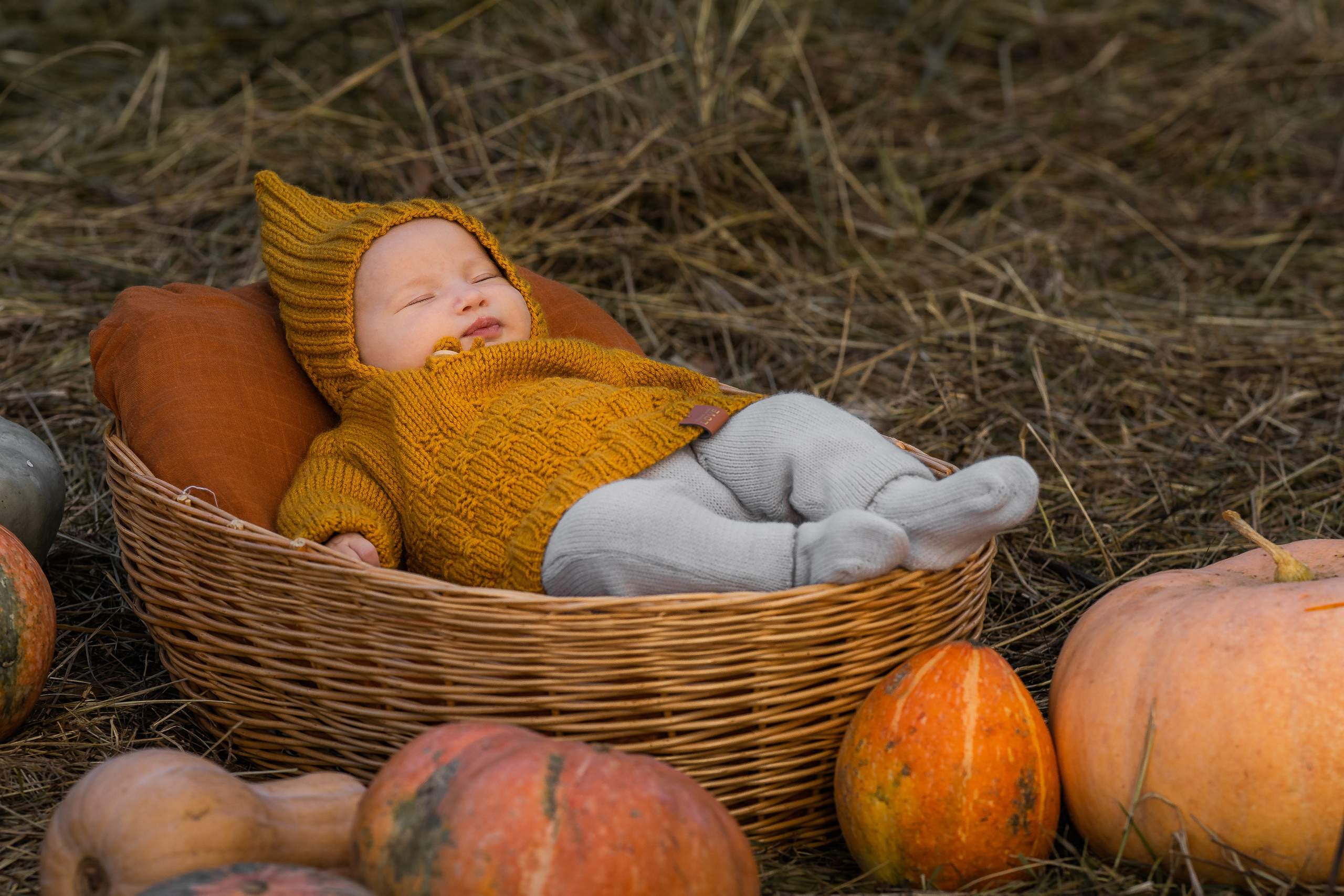 Фотосессии Виктория Ефремова. Семейный фотограф Ефремова Виктория