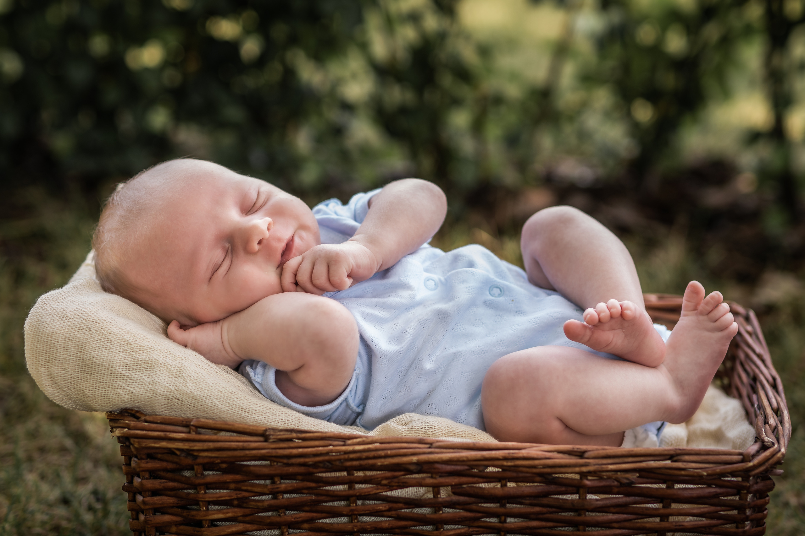 Малышатник). Семейный фотограф Ефремова Виктория