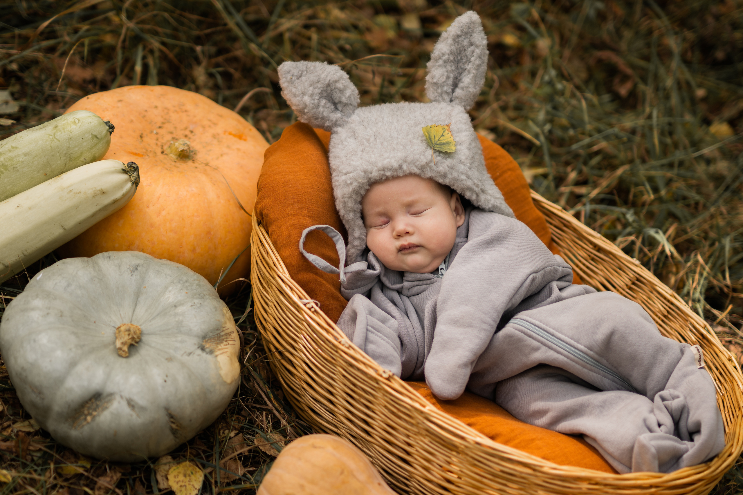 Овощная история. Семейный фотограф Ефремова Виктория