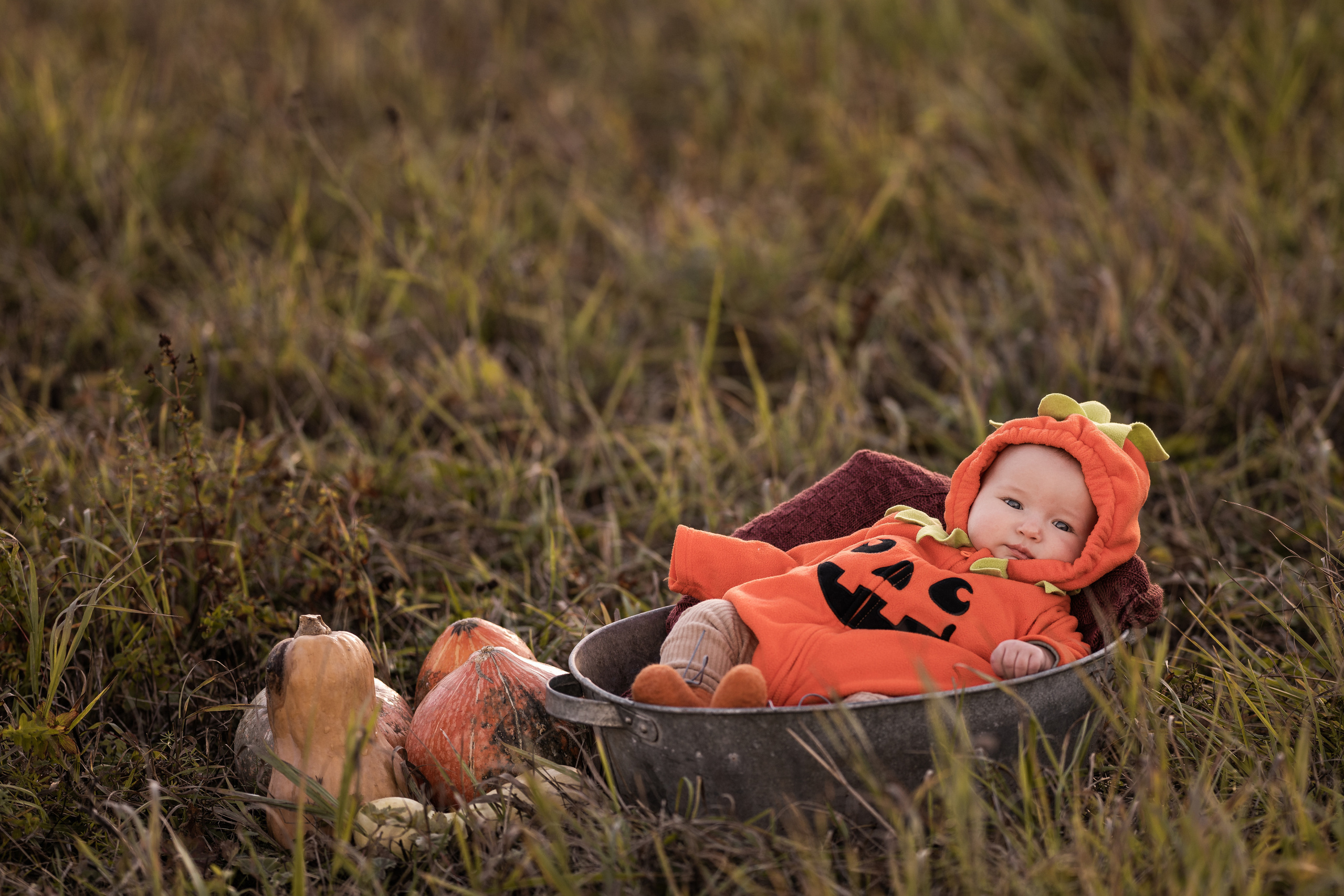 Halloween 2022. Семейный фотограф Ефремова Виктория