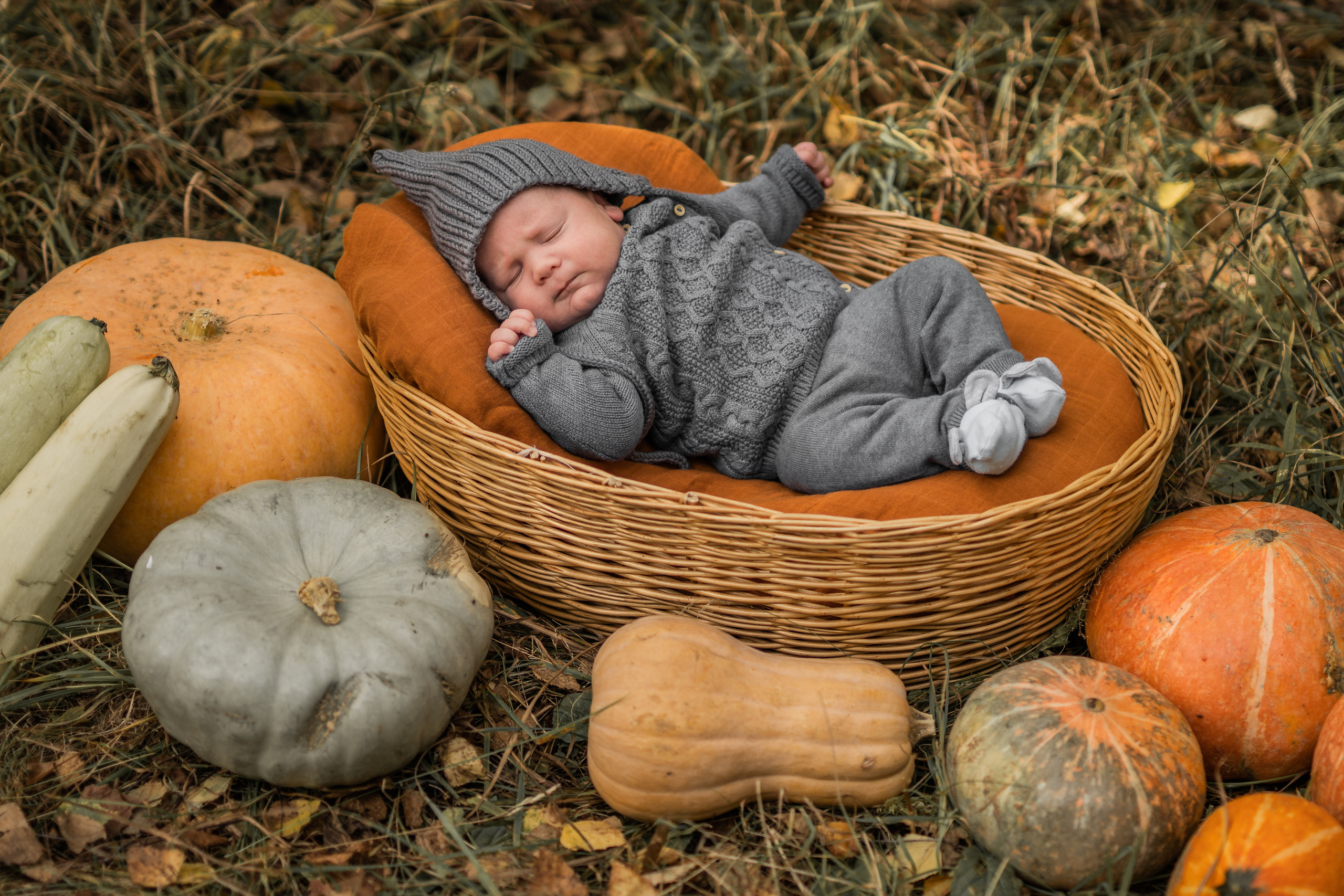 Фотосессии Виктория Ефремова. Семейный фотограф Ефремова Виктория