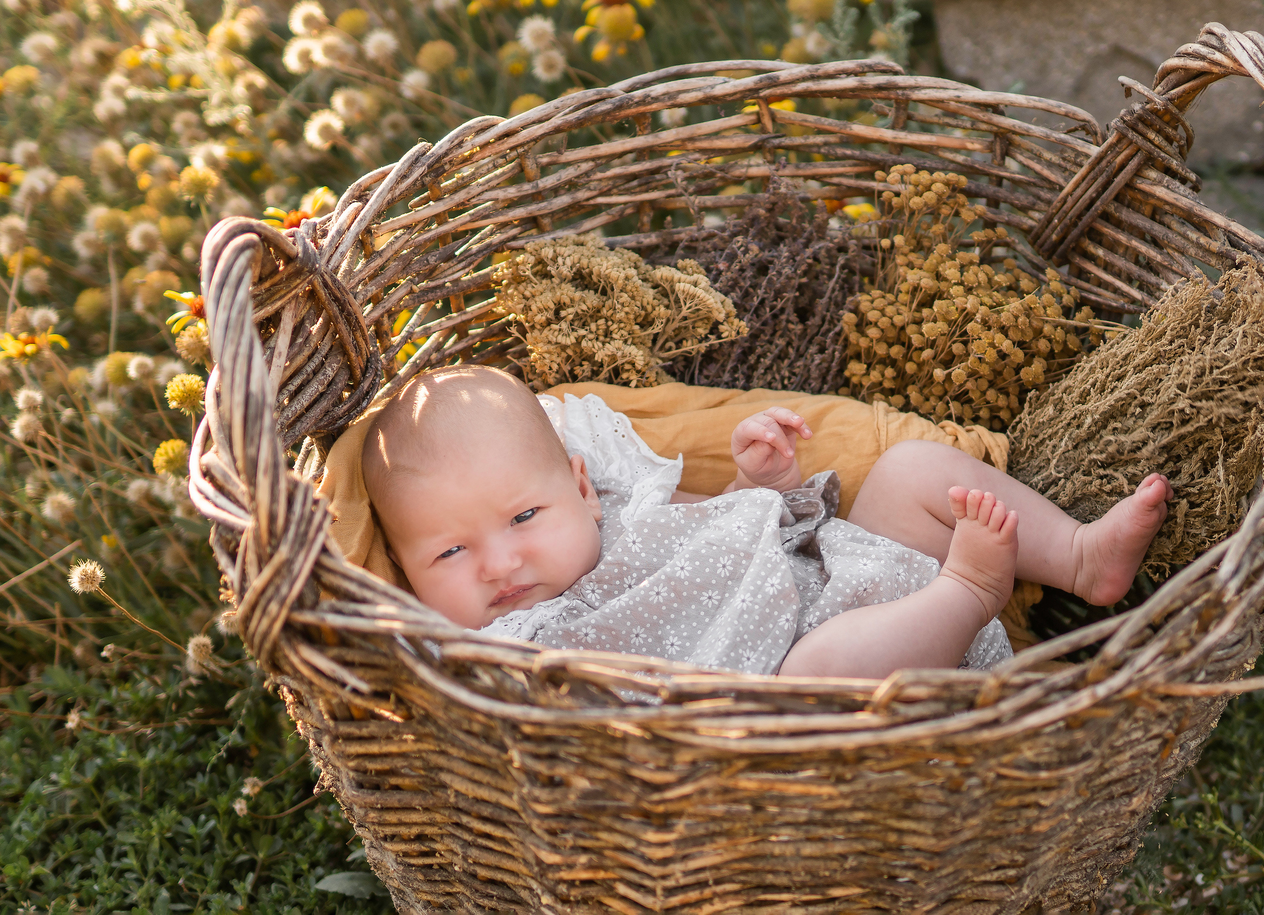 Должанская, август 2022. Семейный фотограф Ефремова Виктория