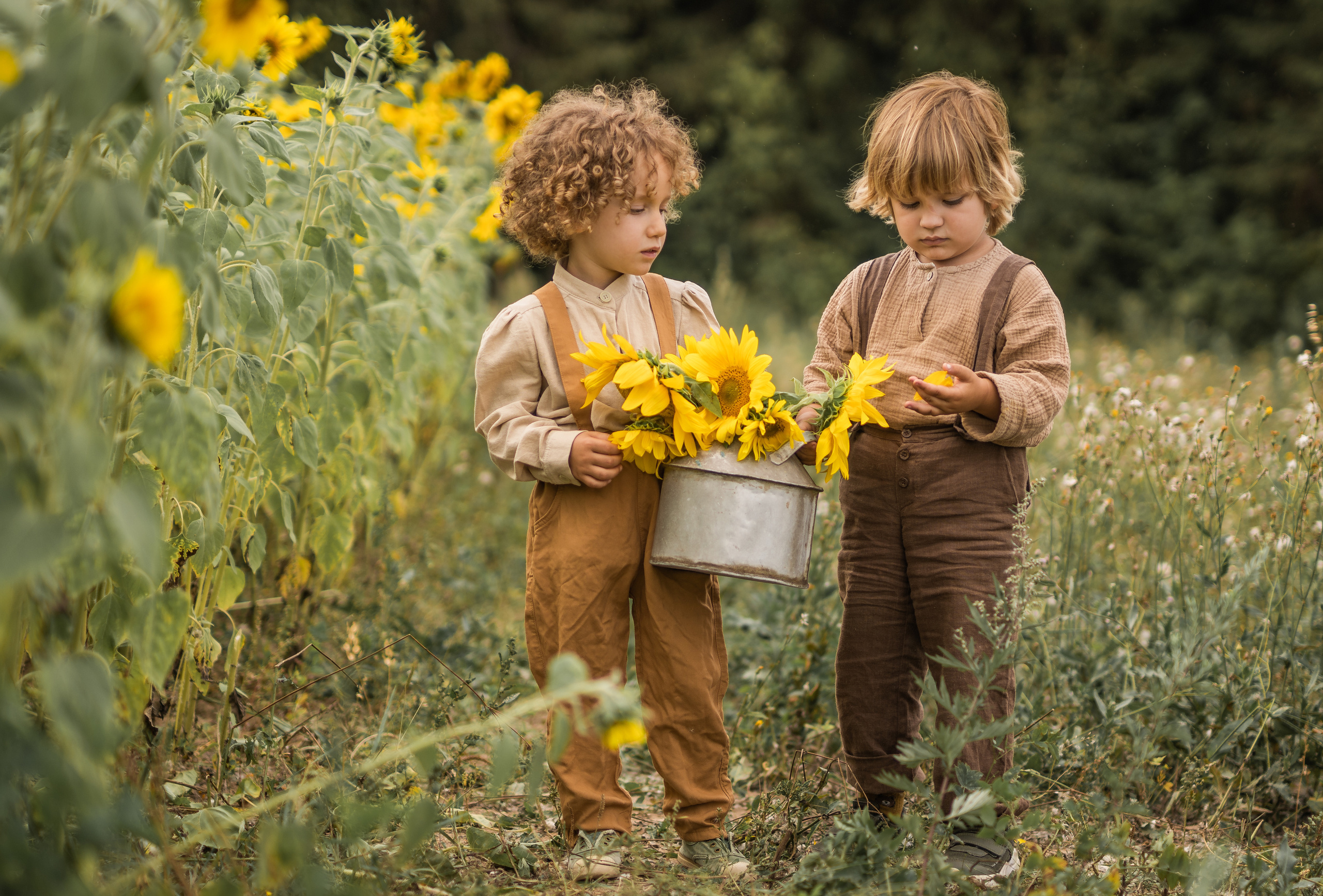 Дети в поле. Семейный фотограф Ефремова Виктория