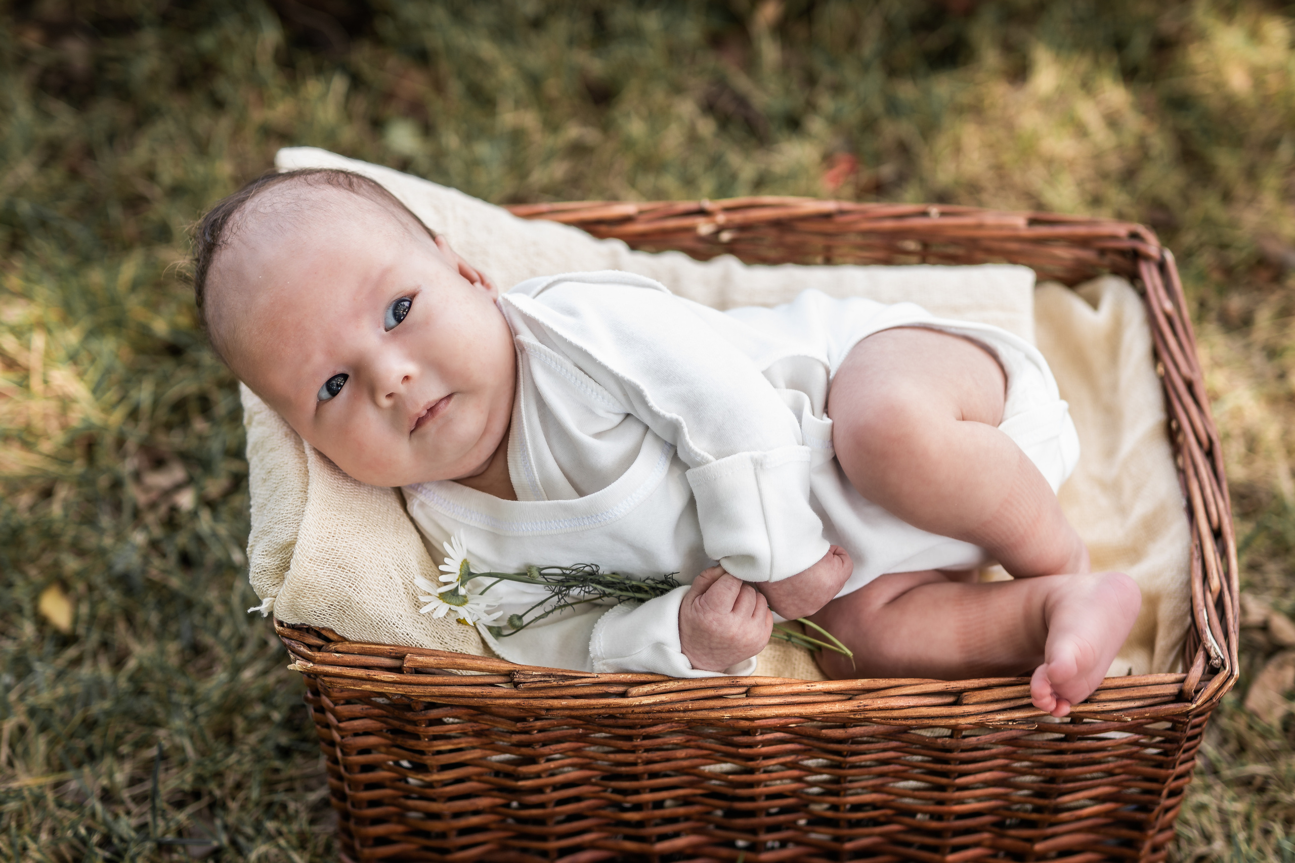 Малышатник). Семейный фотограф Ефремова Виктория
