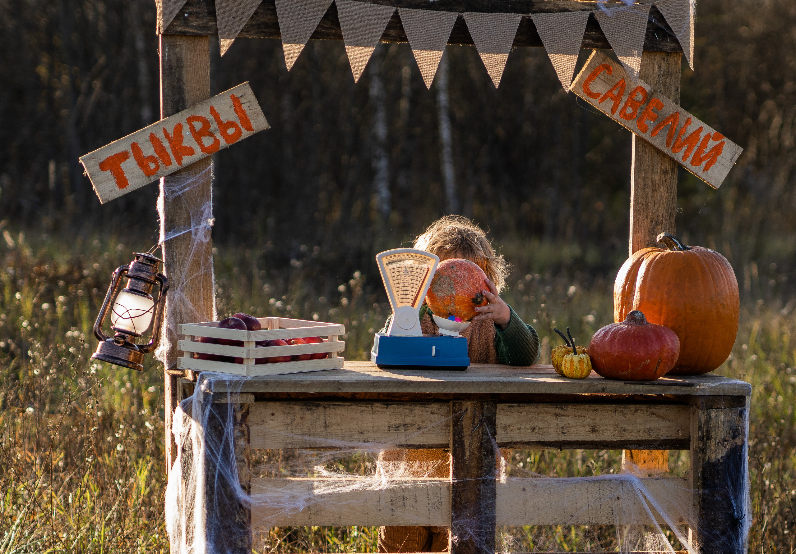 Продавец тыкв. Семейный фотограф Ефремова Виктория