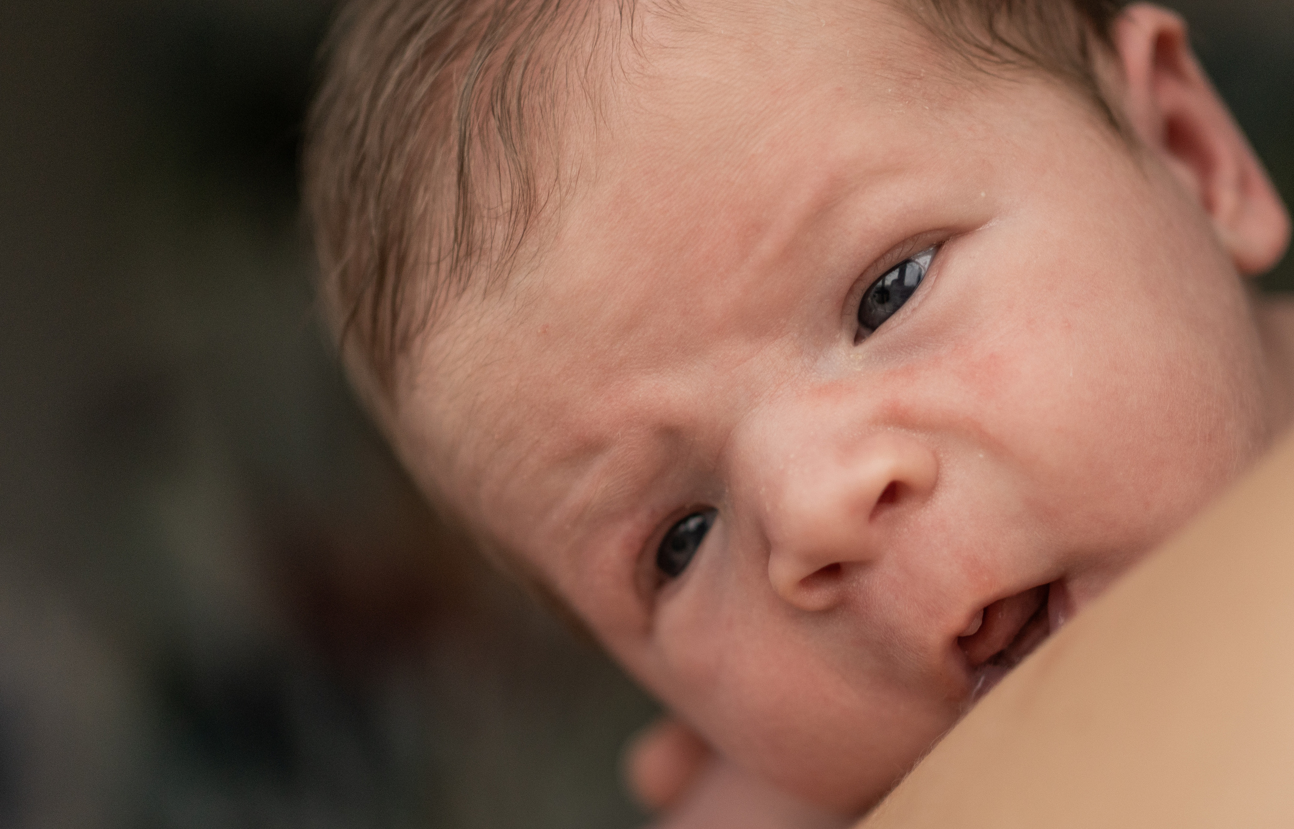Лёва. Семейный фотограф Ефремова Виктория