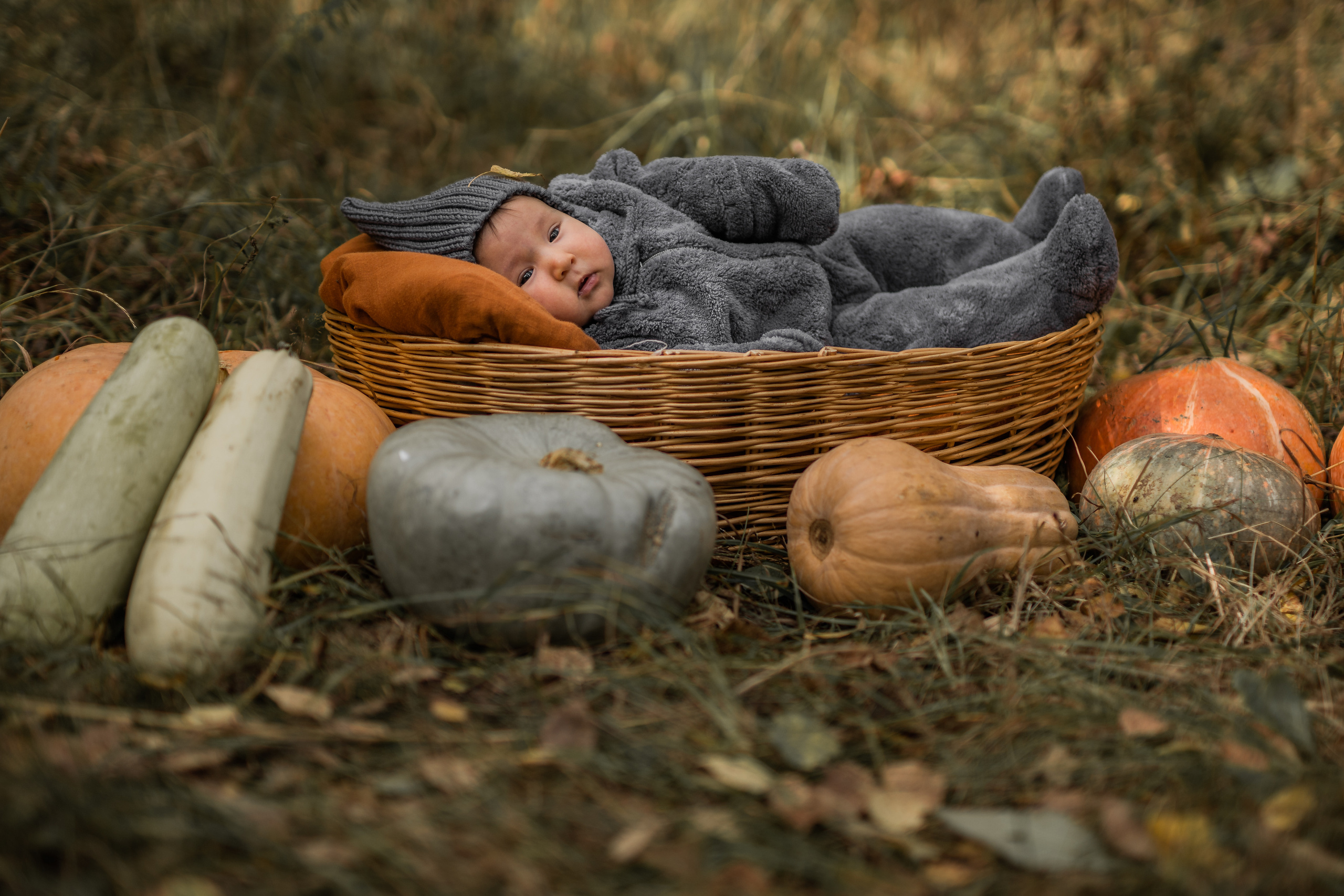 Овощная история. Семейный фотограф Ефремова Виктория