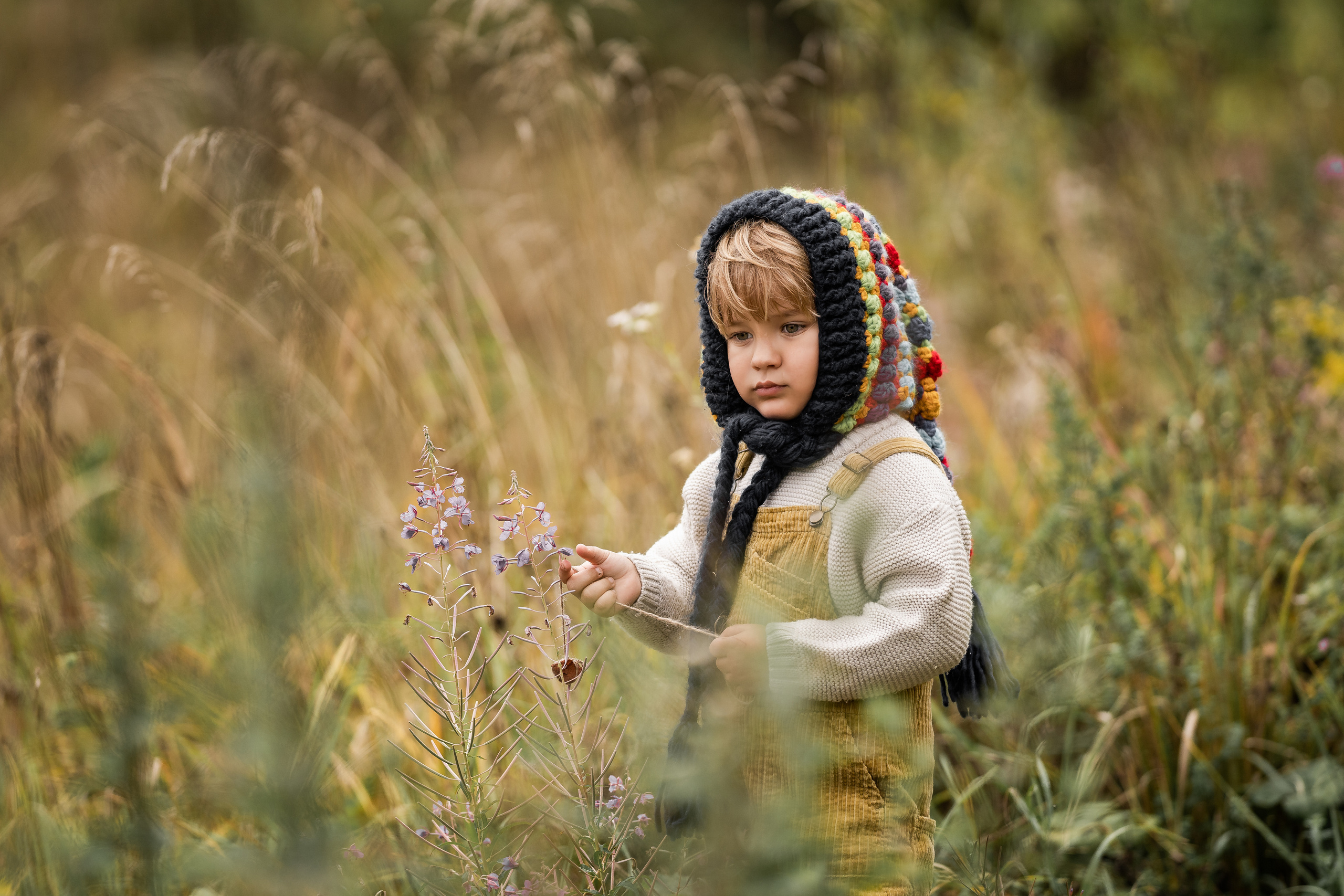 Марфа, тыквы, сентябрь. Семейный фотограф Ефремова Виктория