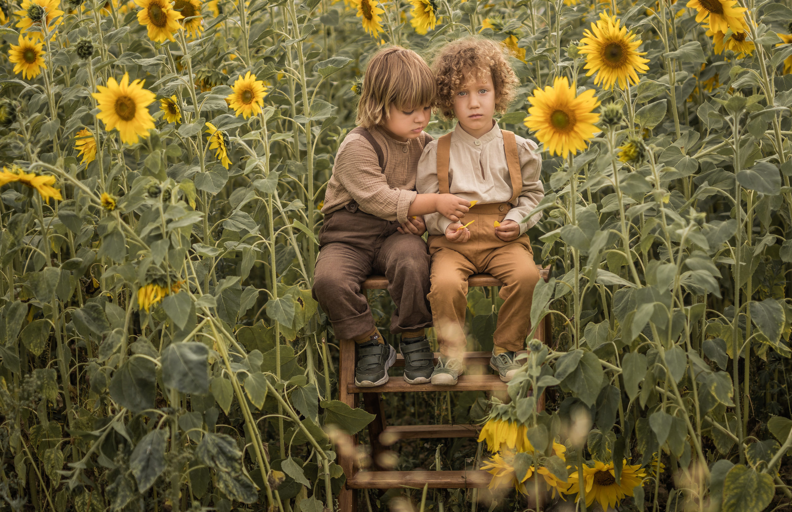 Дети в поле. Семейный фотограф Ефремова Виктория