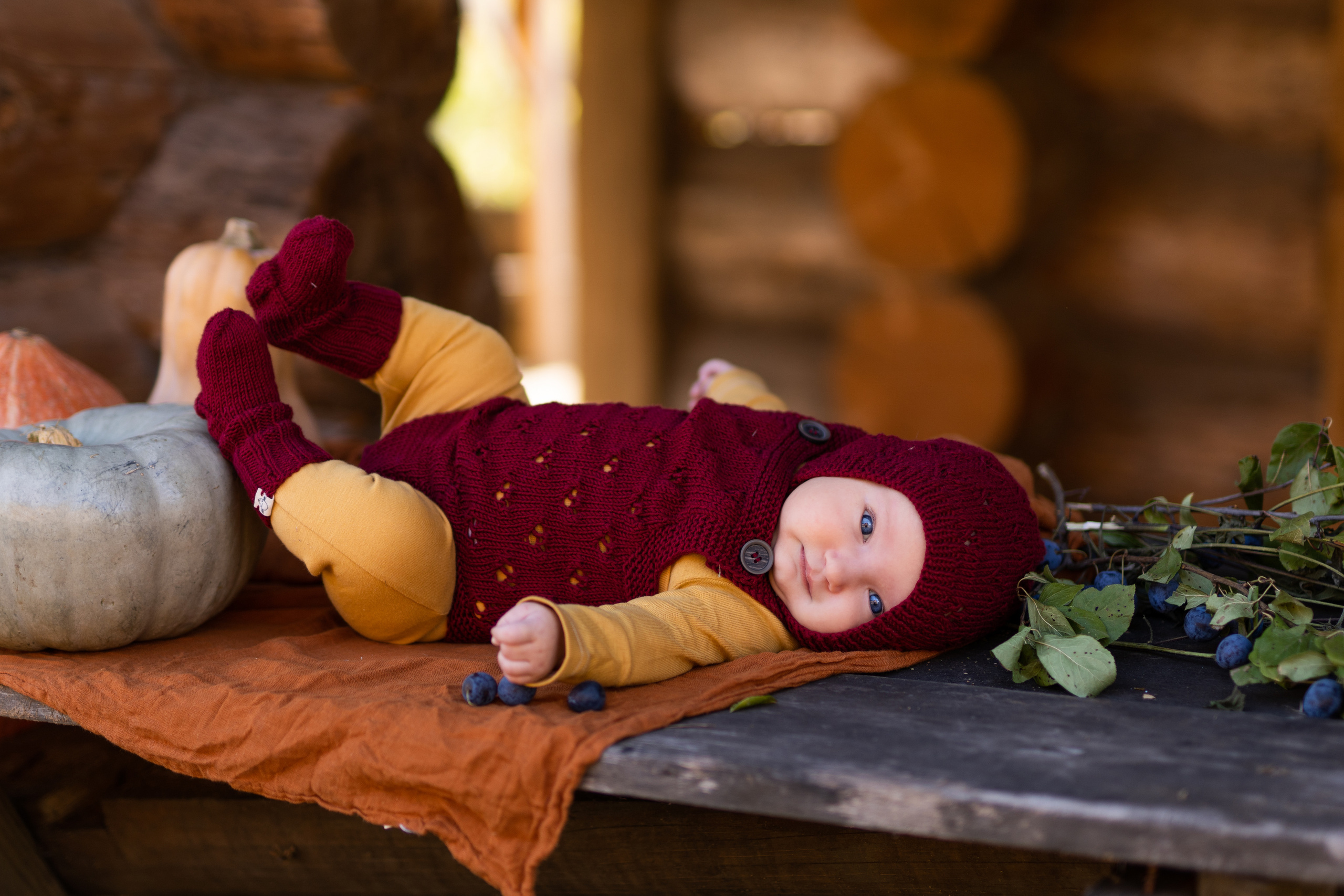 Марфа, тыквы, сентябрь. Семейный фотограф Ефремова Виктория