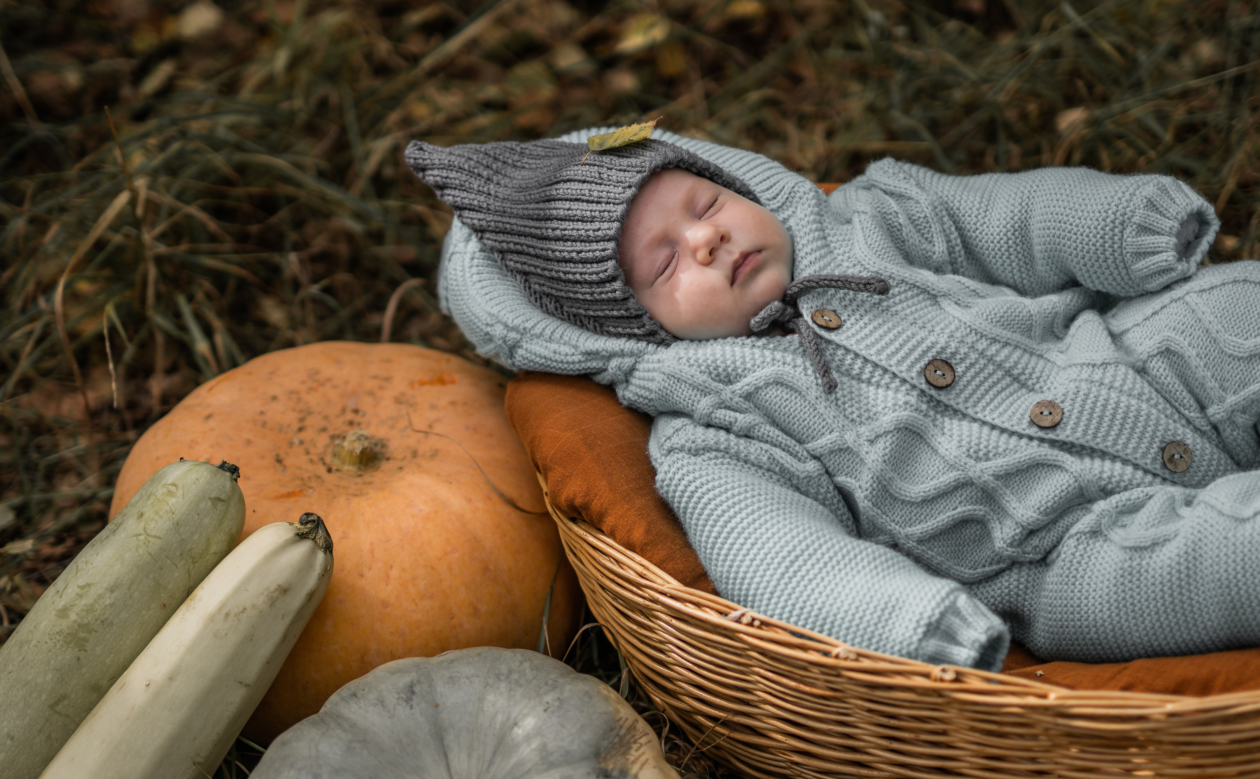 Овощная история. Семейный фотограф Ефремова Виктория