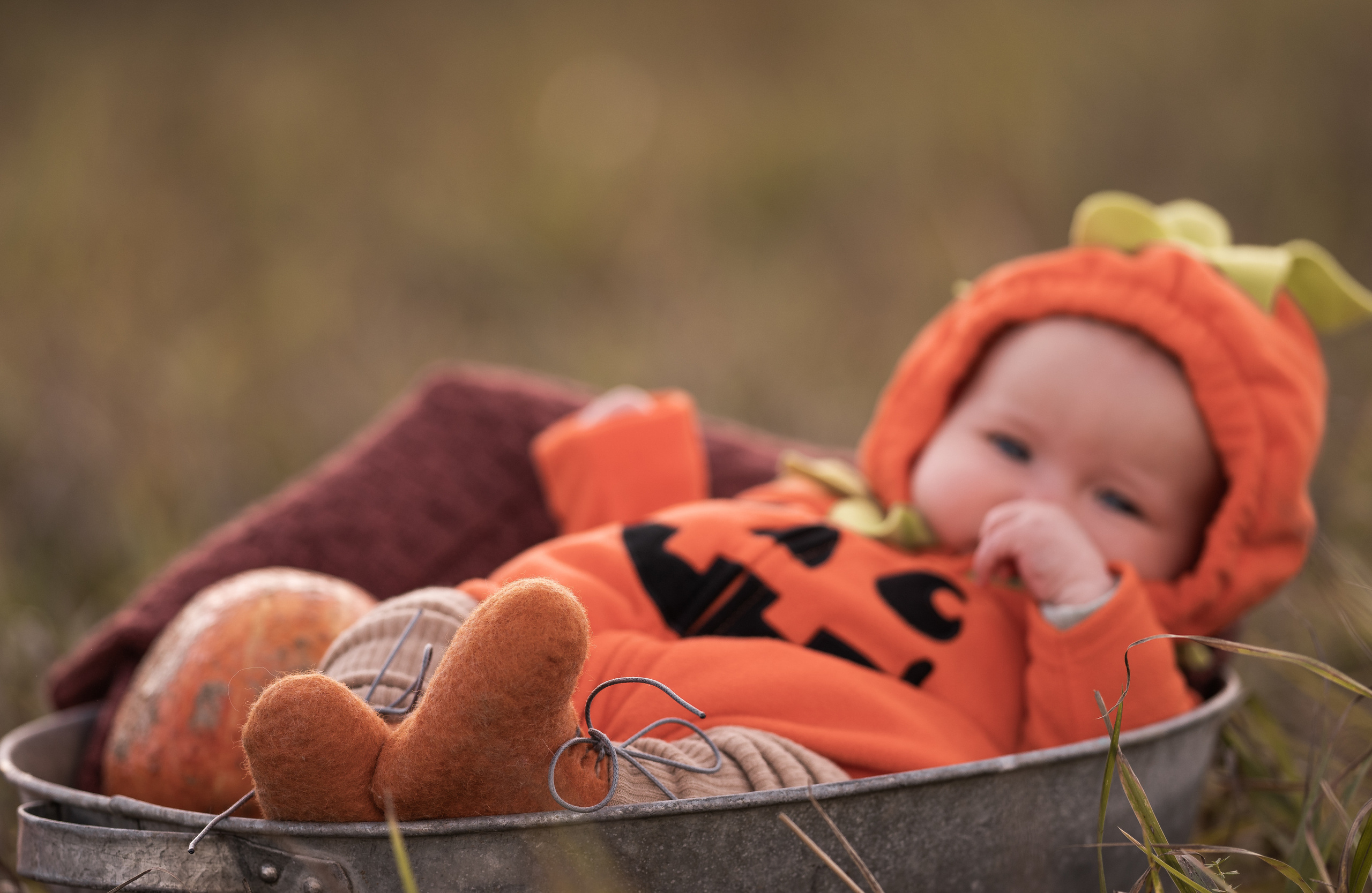 Halloween 2022. Семейный фотограф Ефремова Виктория