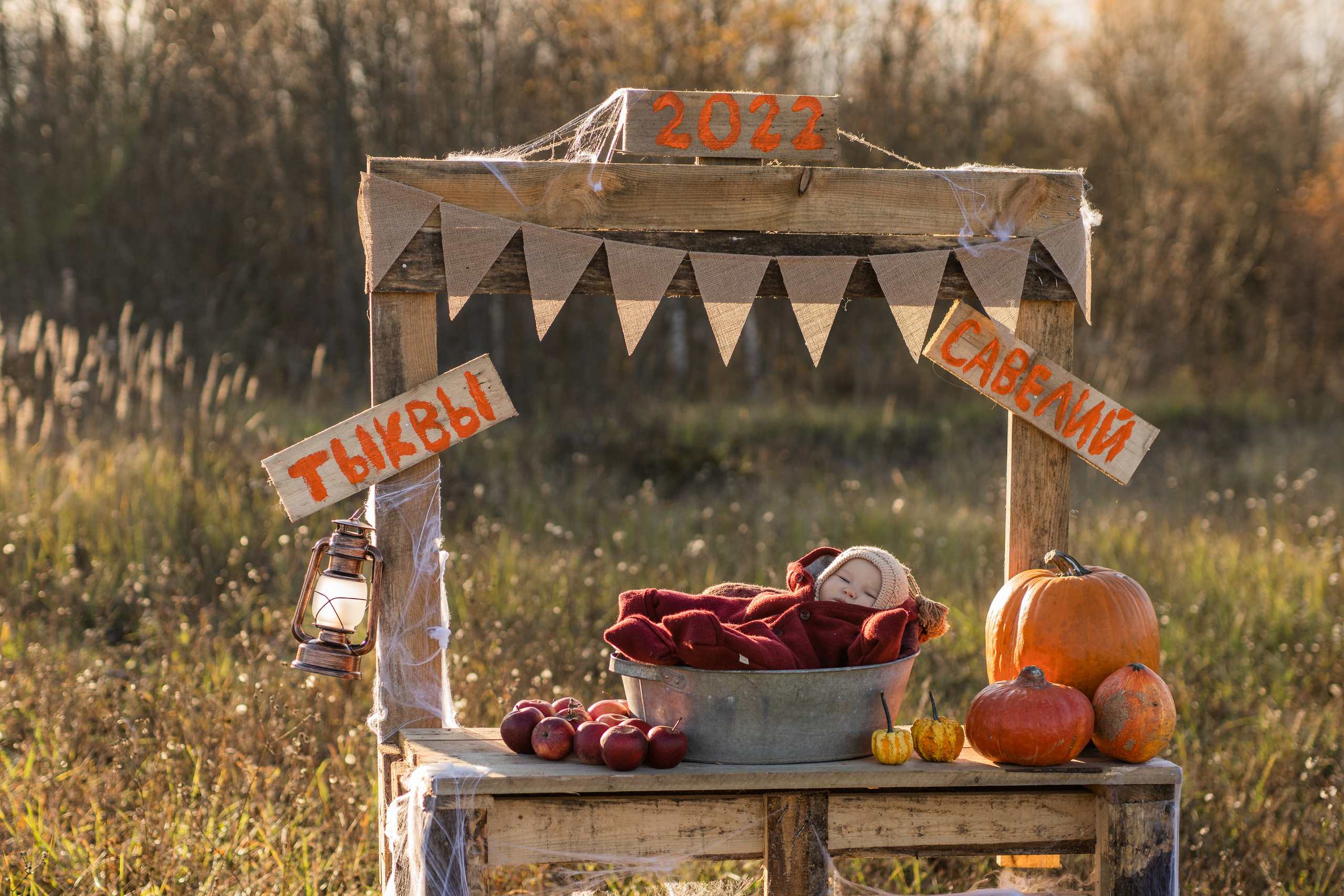 Продавец тыкв. Семейный фотограф Ефремова Виктория