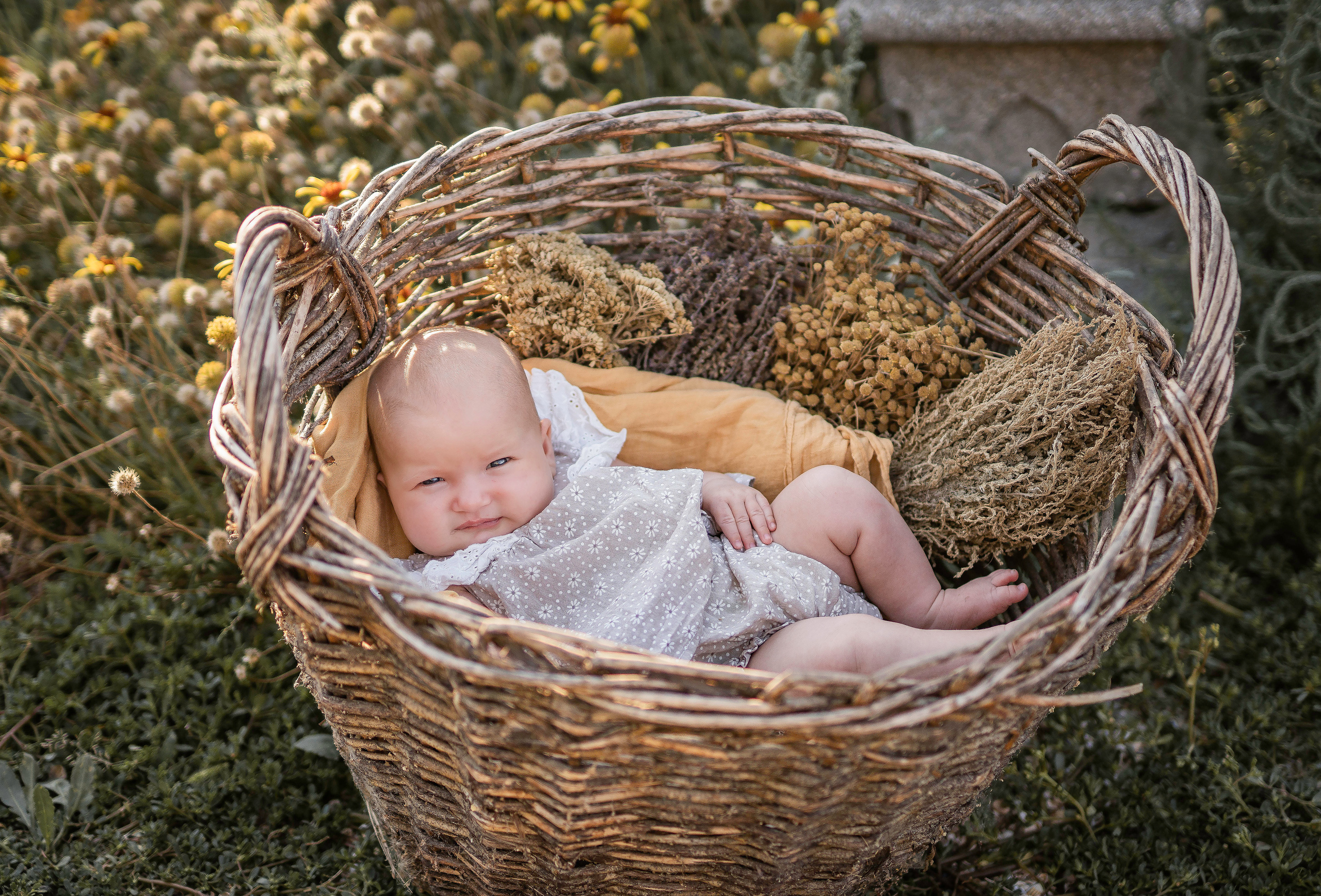 Должанская, август 2022. Семейный фотограф Ефремова Виктория
