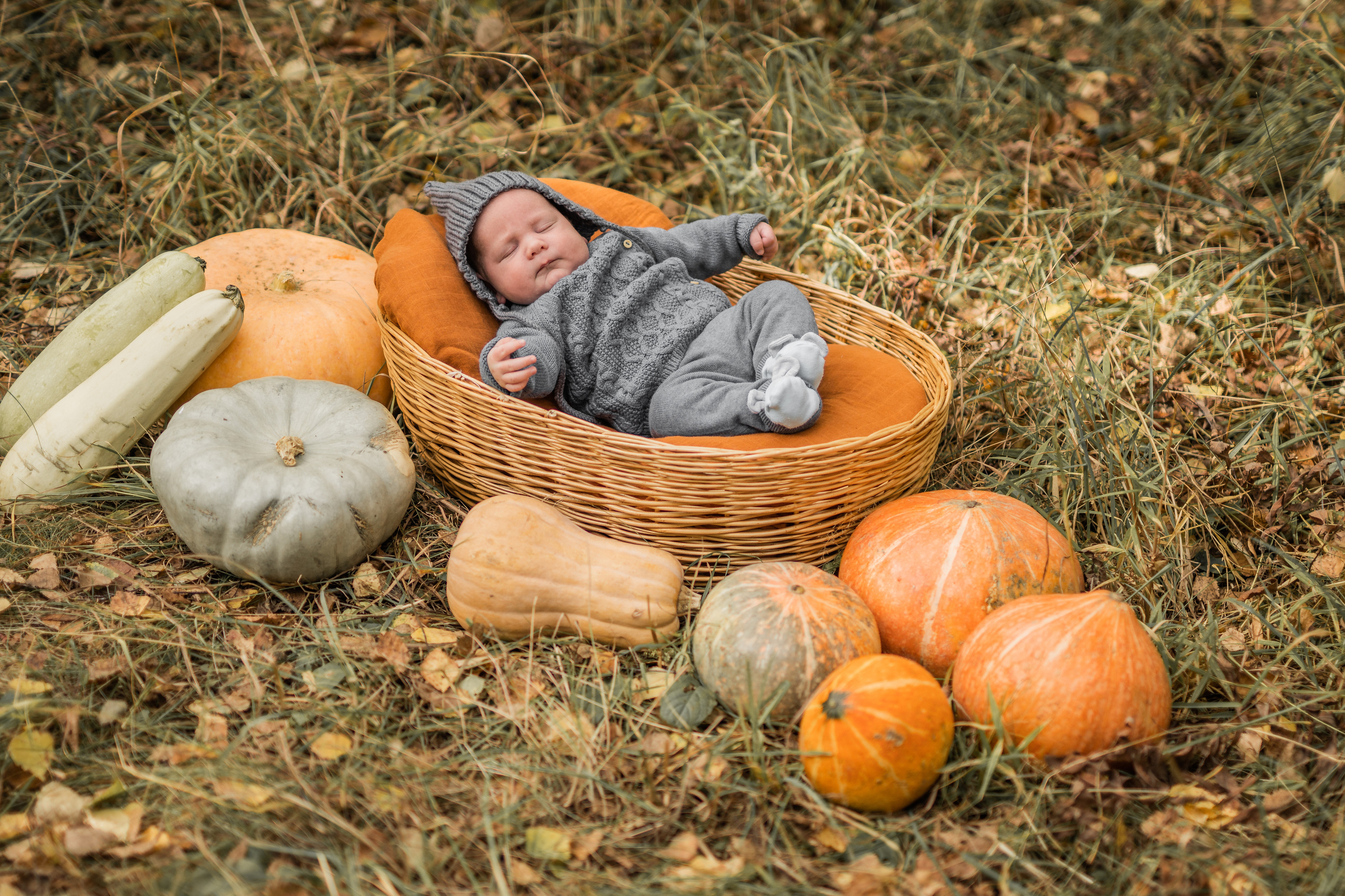 Овощная история. Семейный фотограф Ефремова Виктория