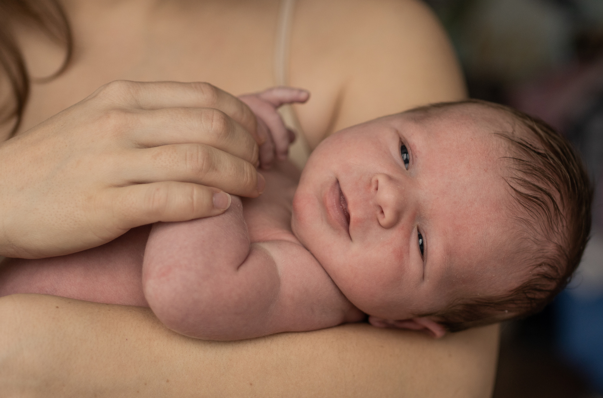 Лёва. Семейный фотограф Ефремова Виктория