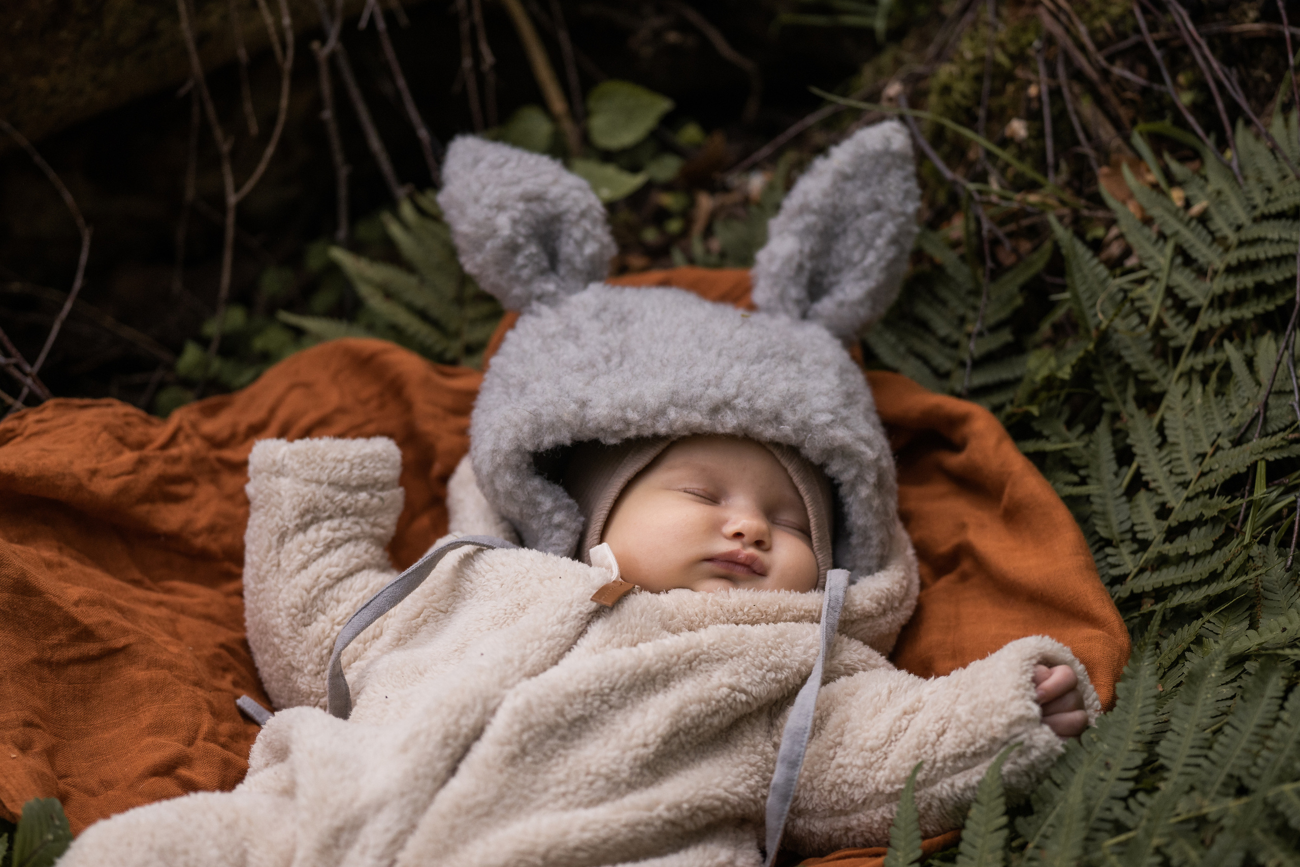 Лесные зайцы. Семейный фотограф Ефремова Виктория