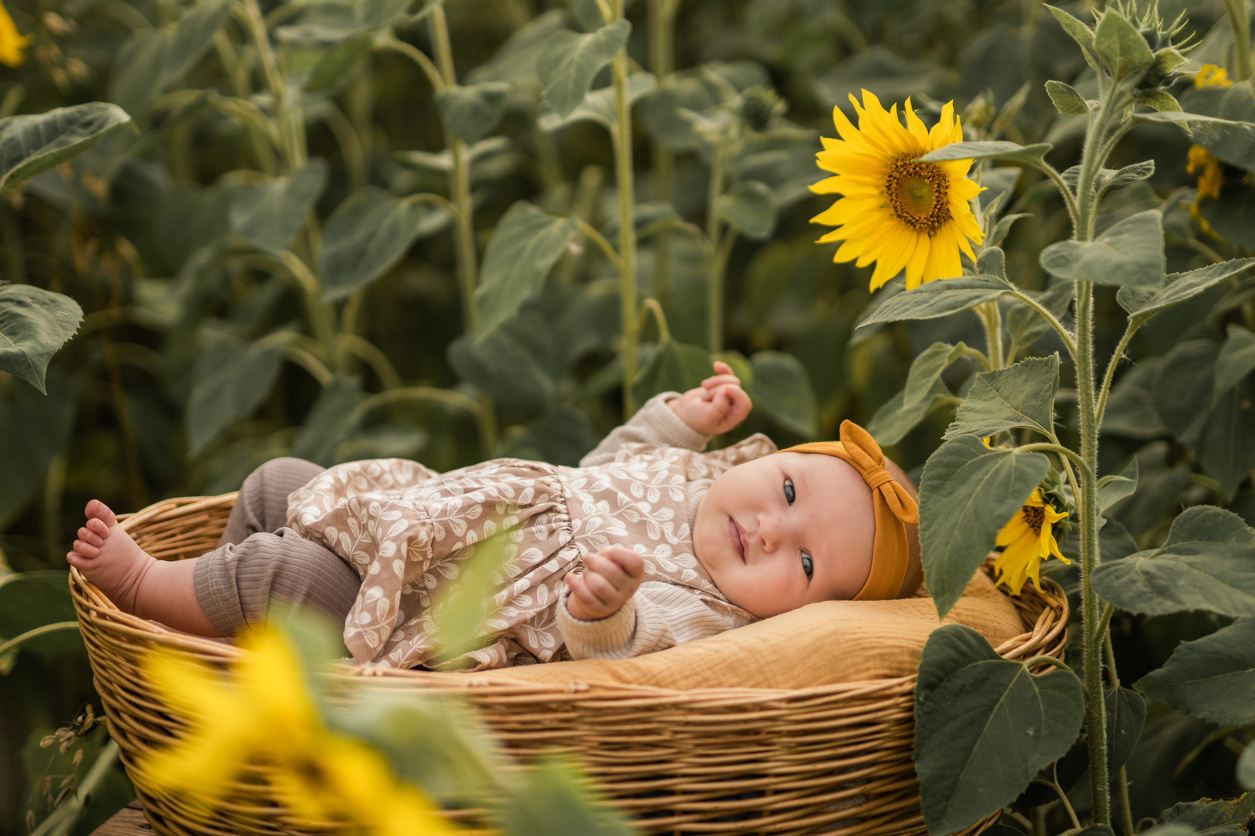 Дети в поле. Семейный фотограф Ефремова Виктория