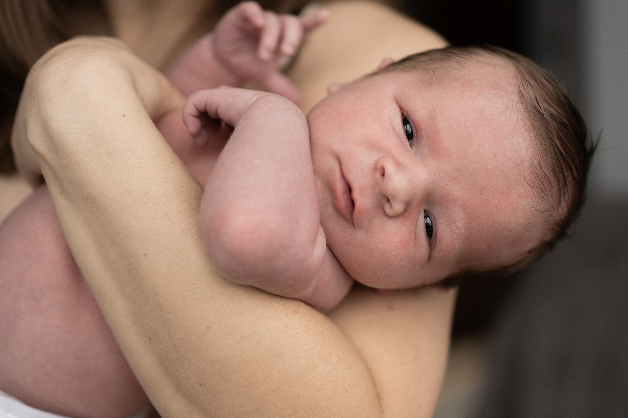 Лёва. Семейный фотограф Ефремова Виктория